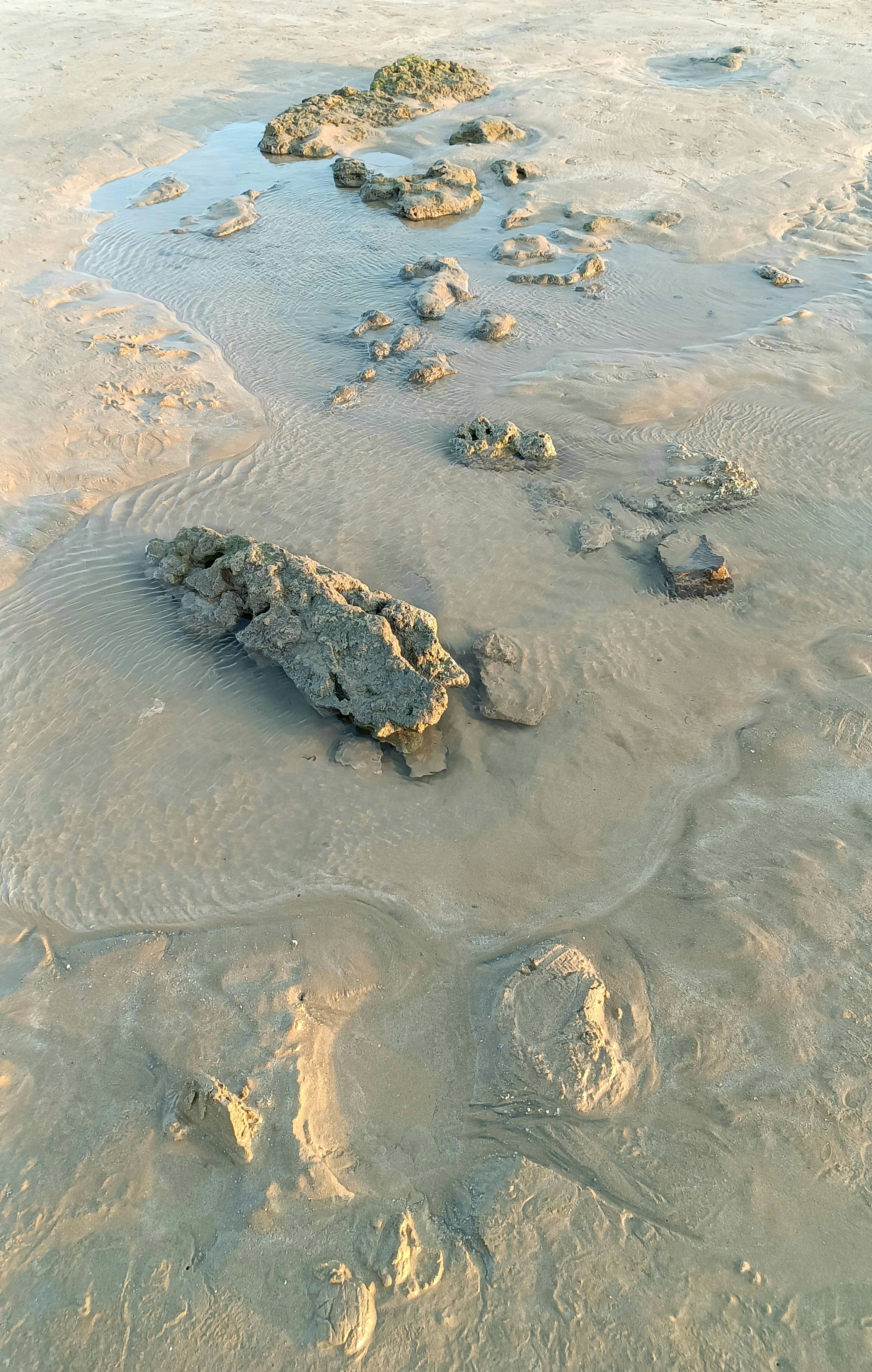 Alagadi Turtle Beach