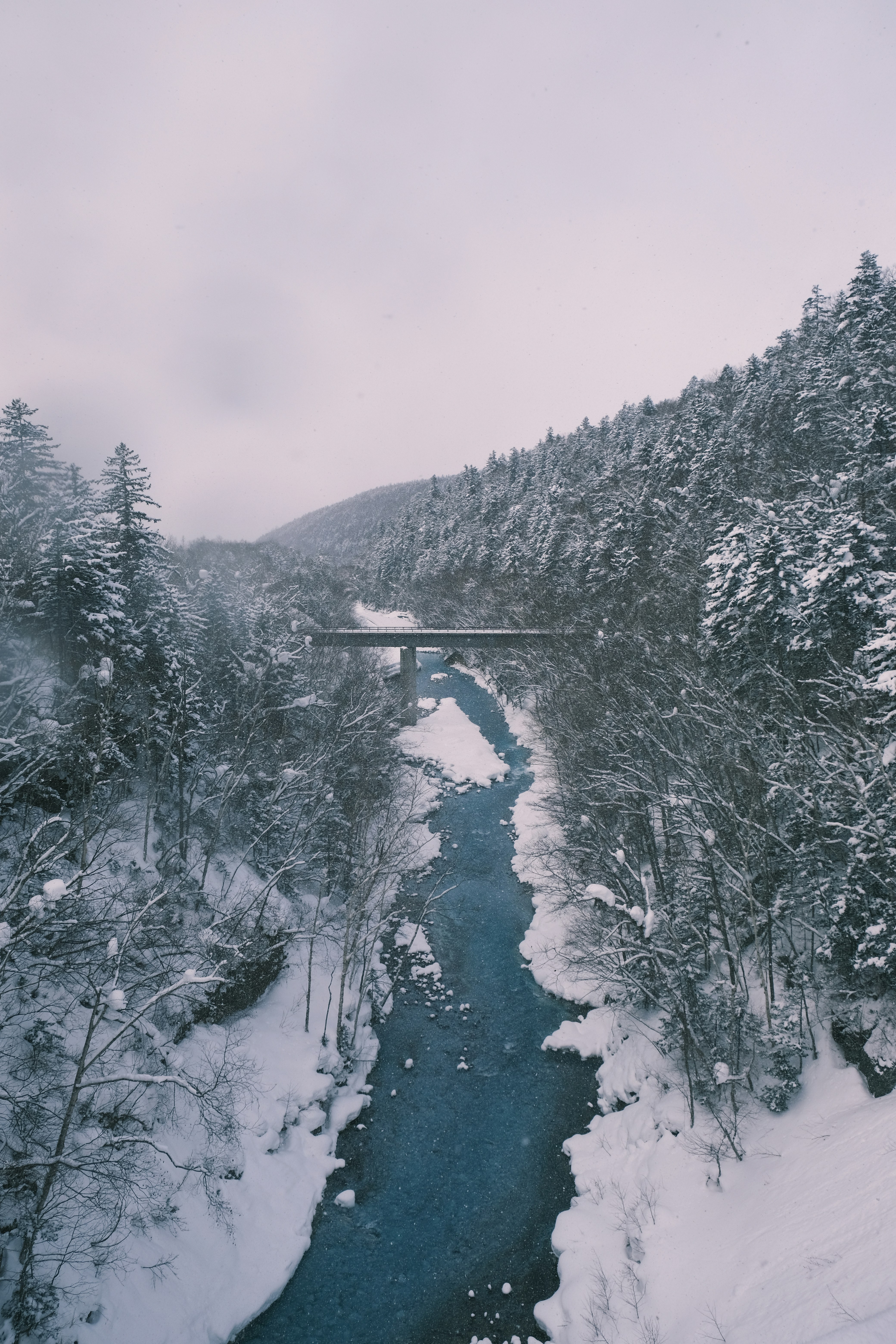 A river running through a snow covered forest
