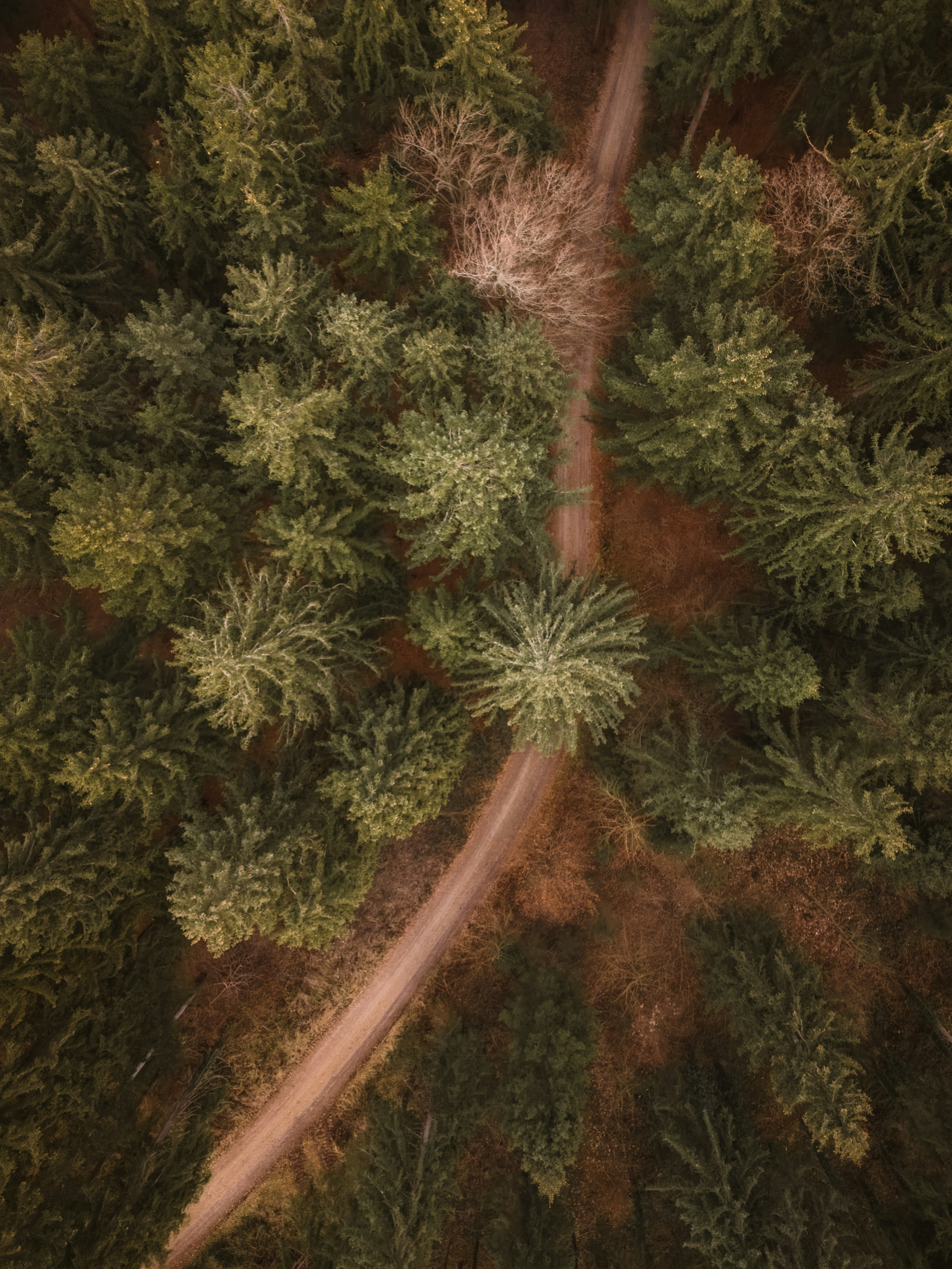 Photo by ahmetyuksek