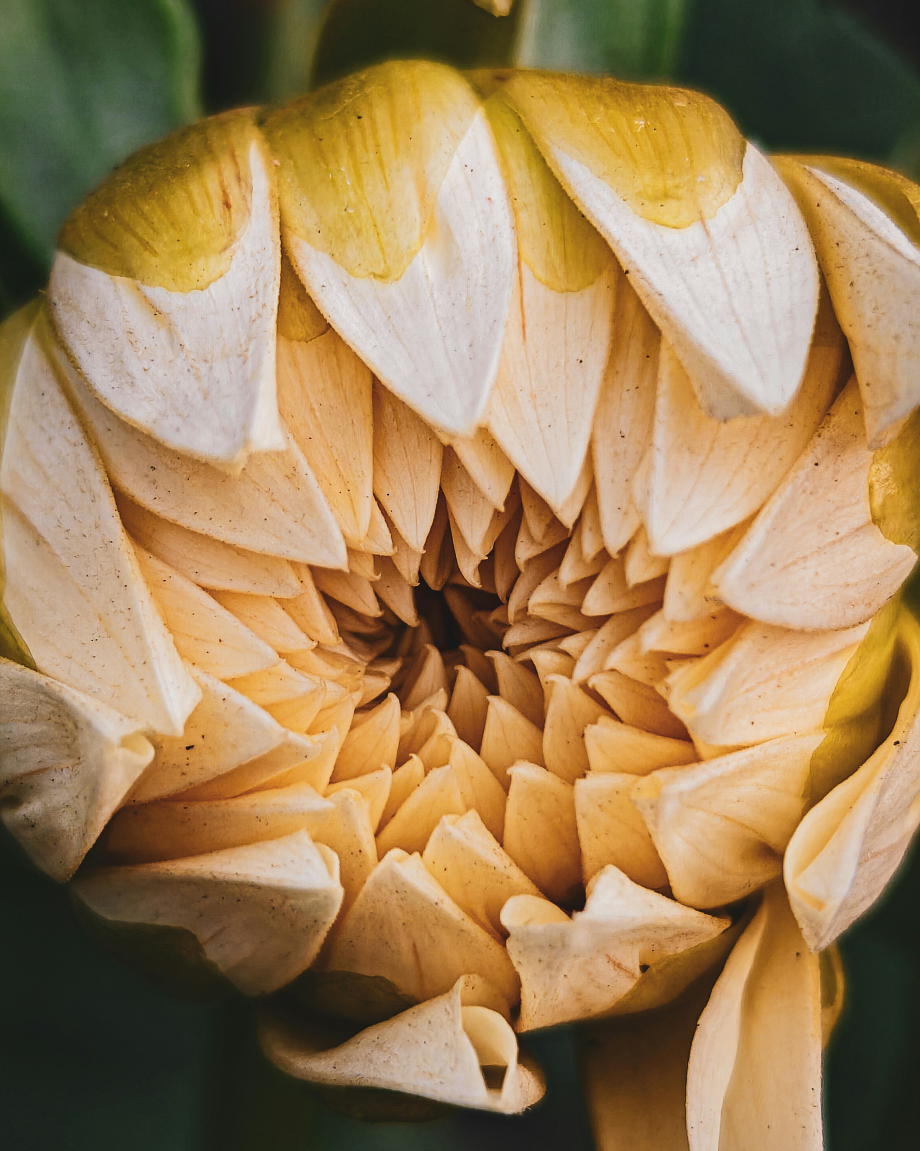 Photo by rohitsharma1785