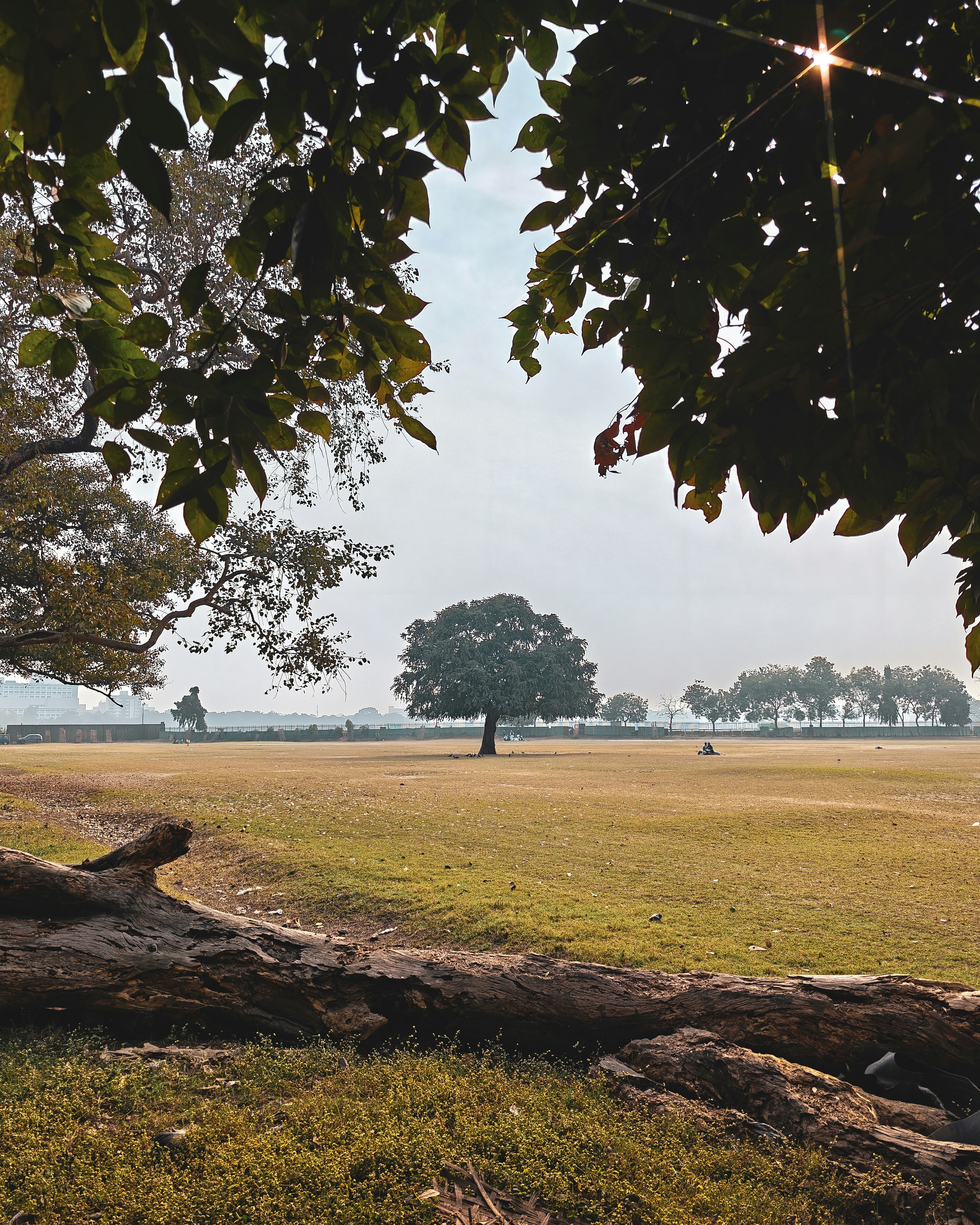 Photo by rohitsharma1785