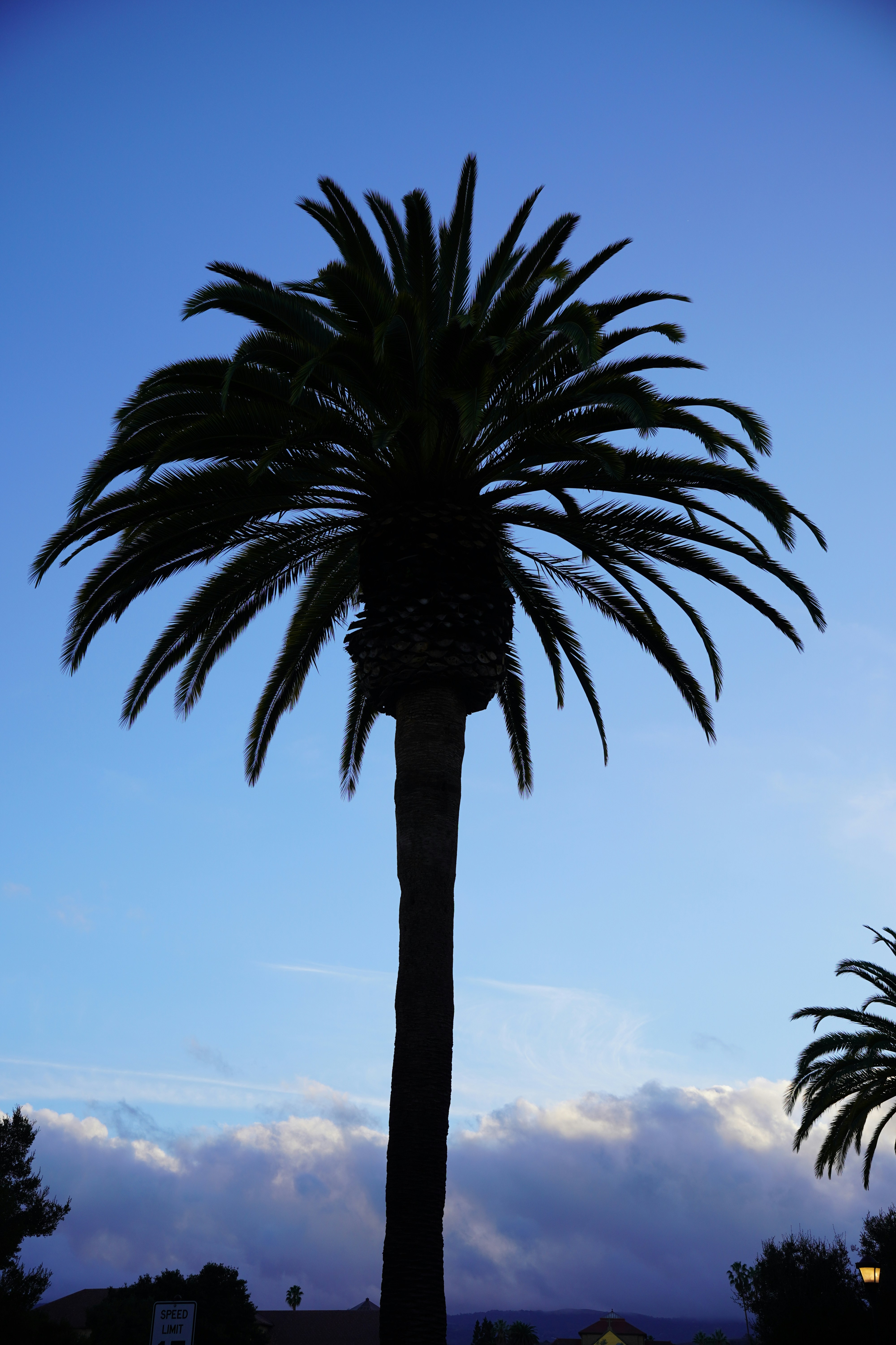 Photo by thussenthan