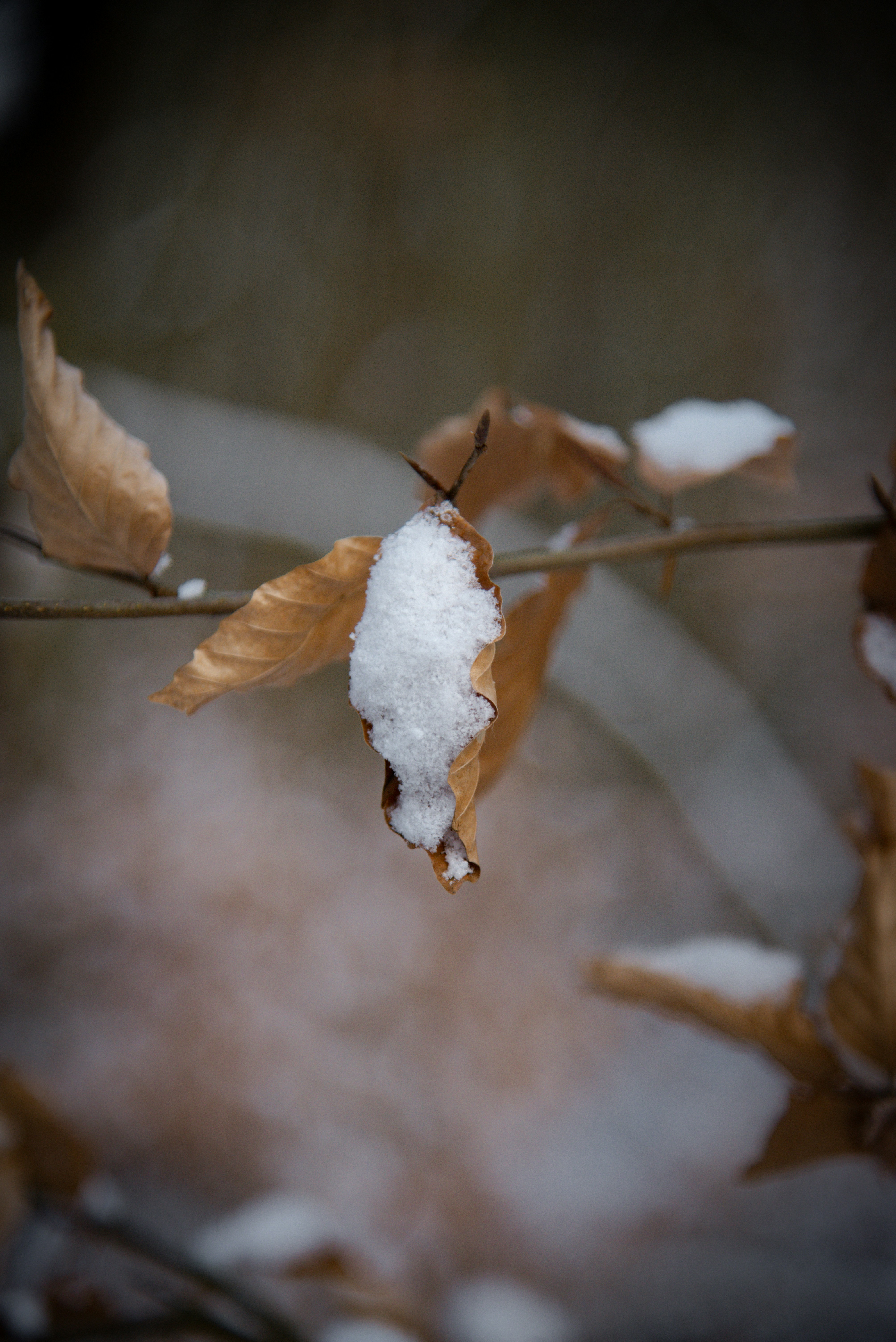 Photo by malwinanogaj