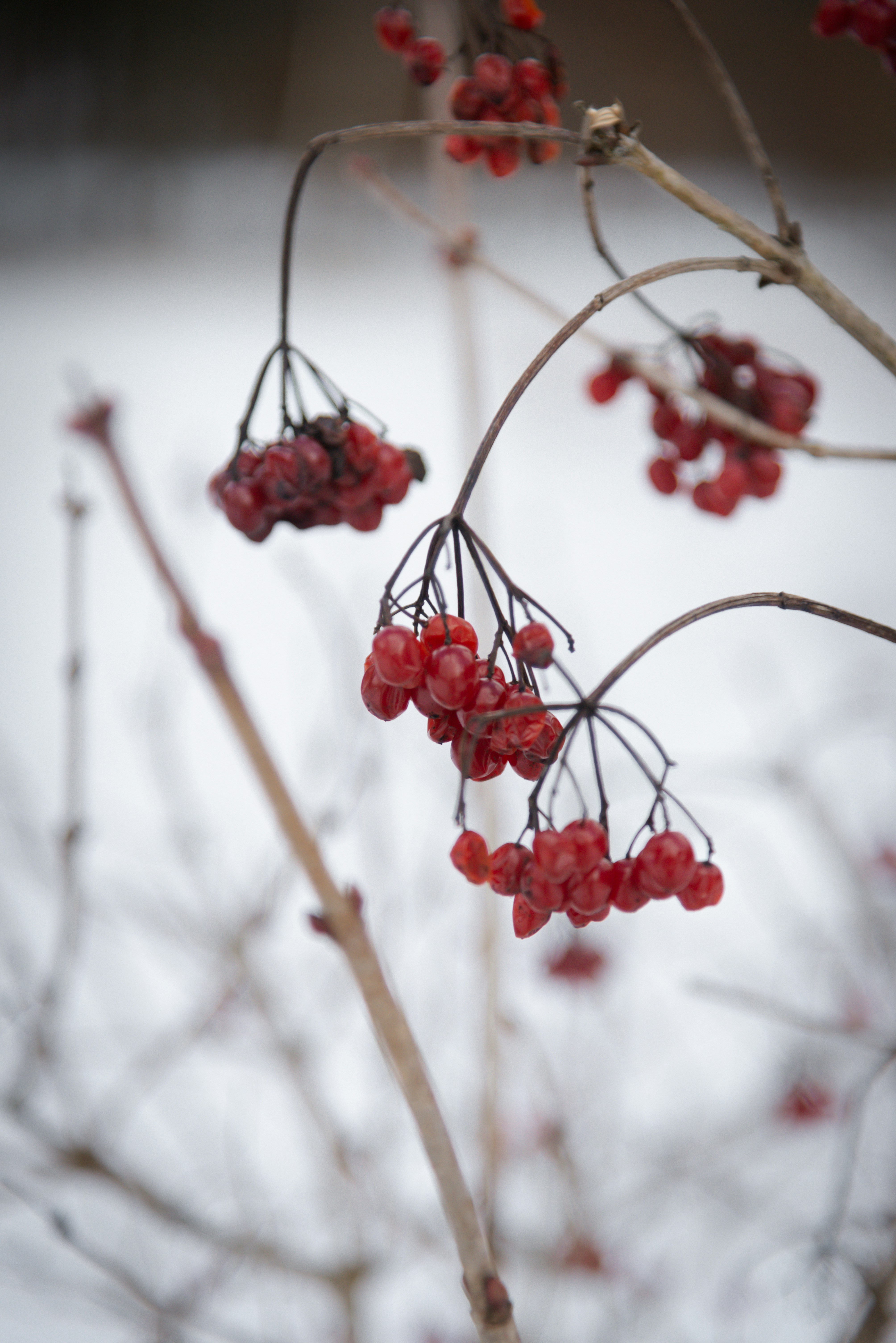 Photo by malwinanogaj