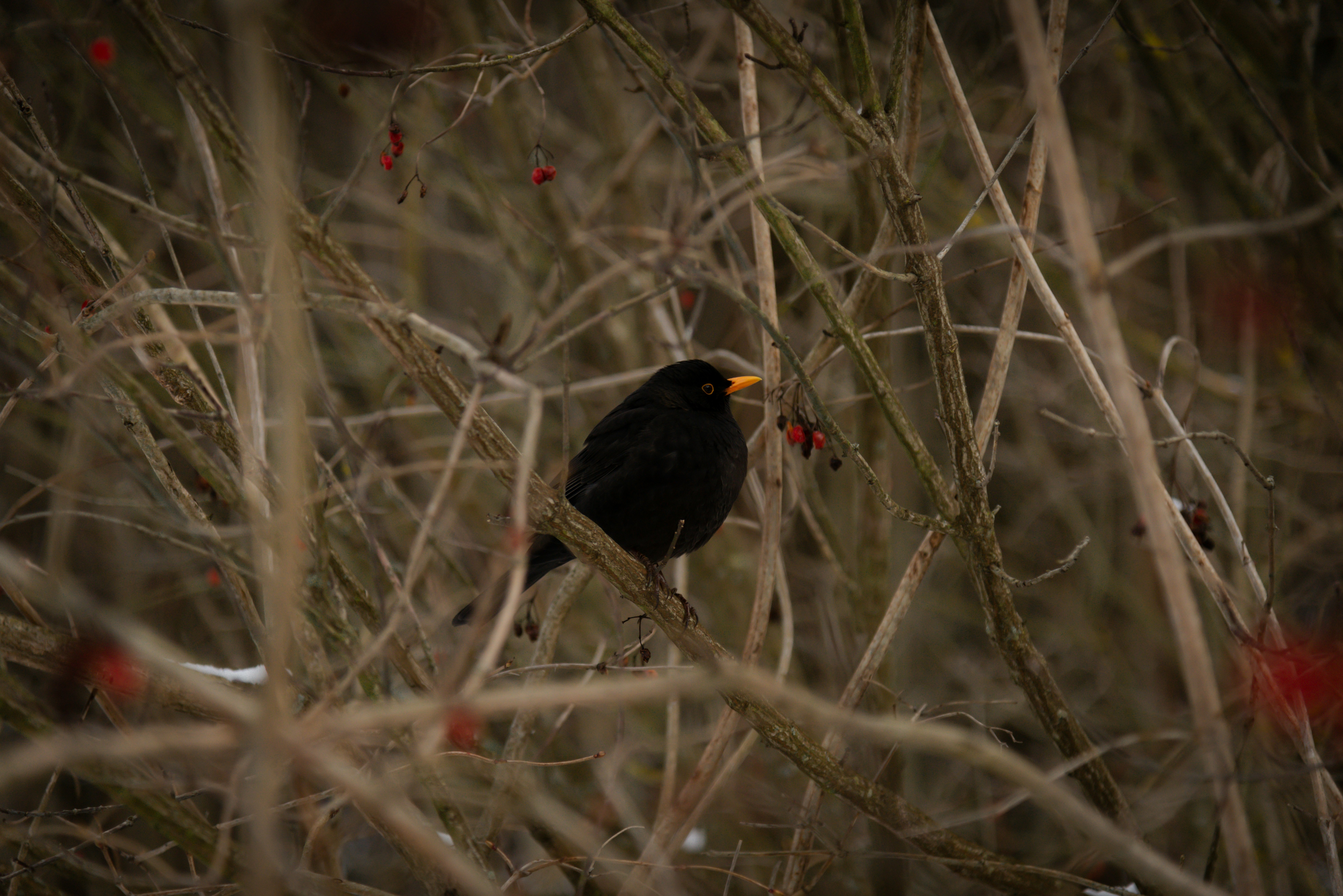 Photo by malwinanogaj