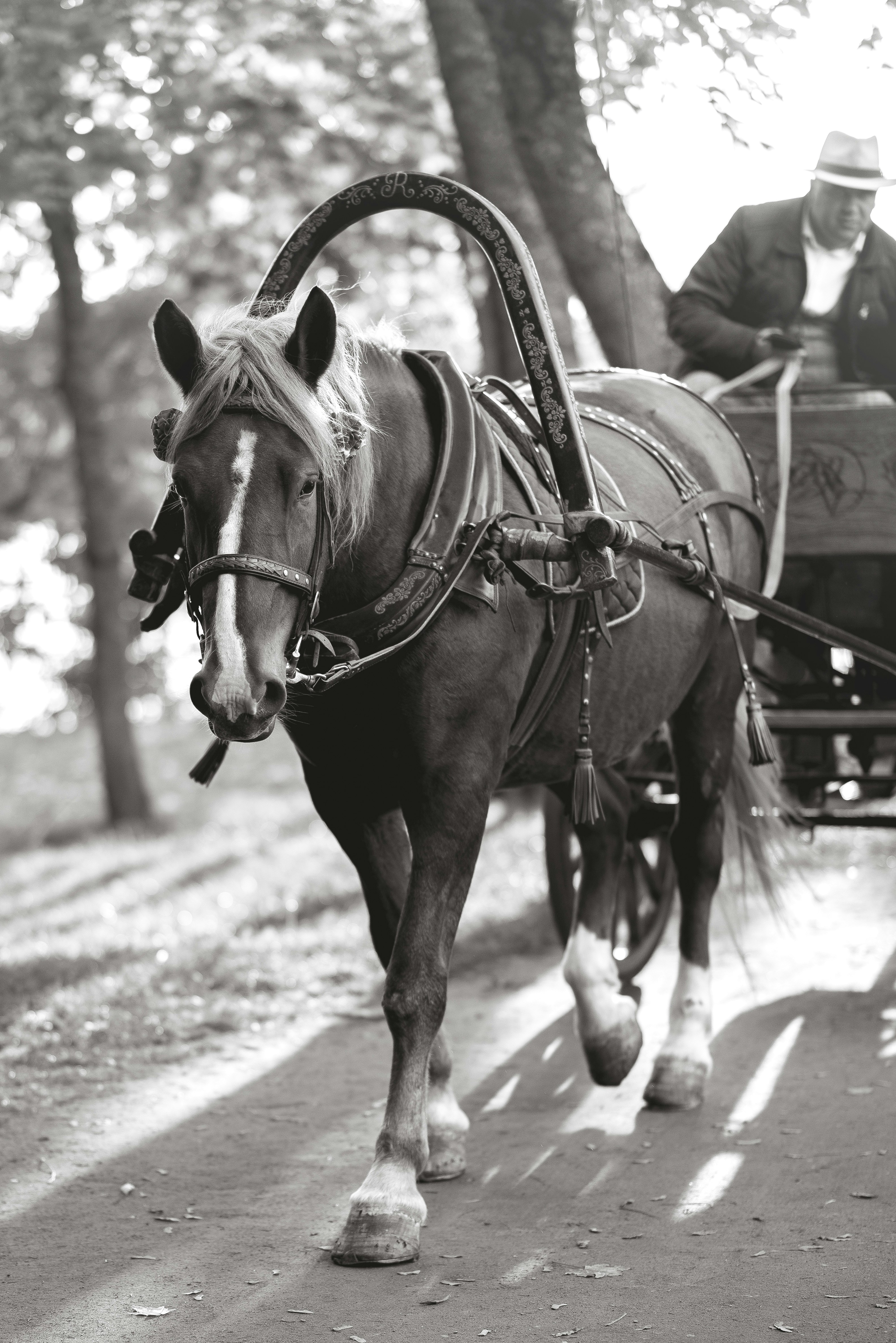 A man riding in a horse drawn carriage