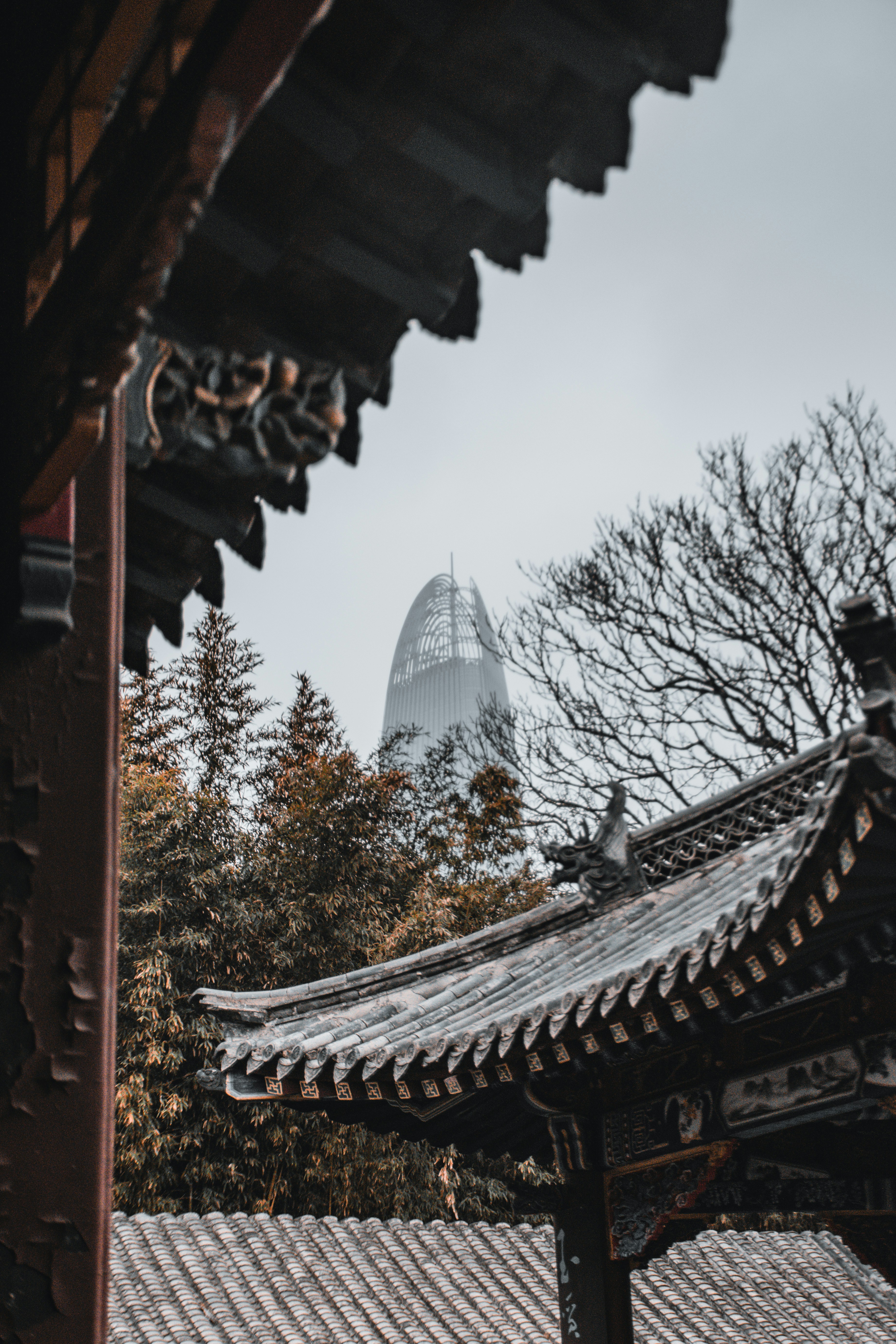 Photo by erikxia