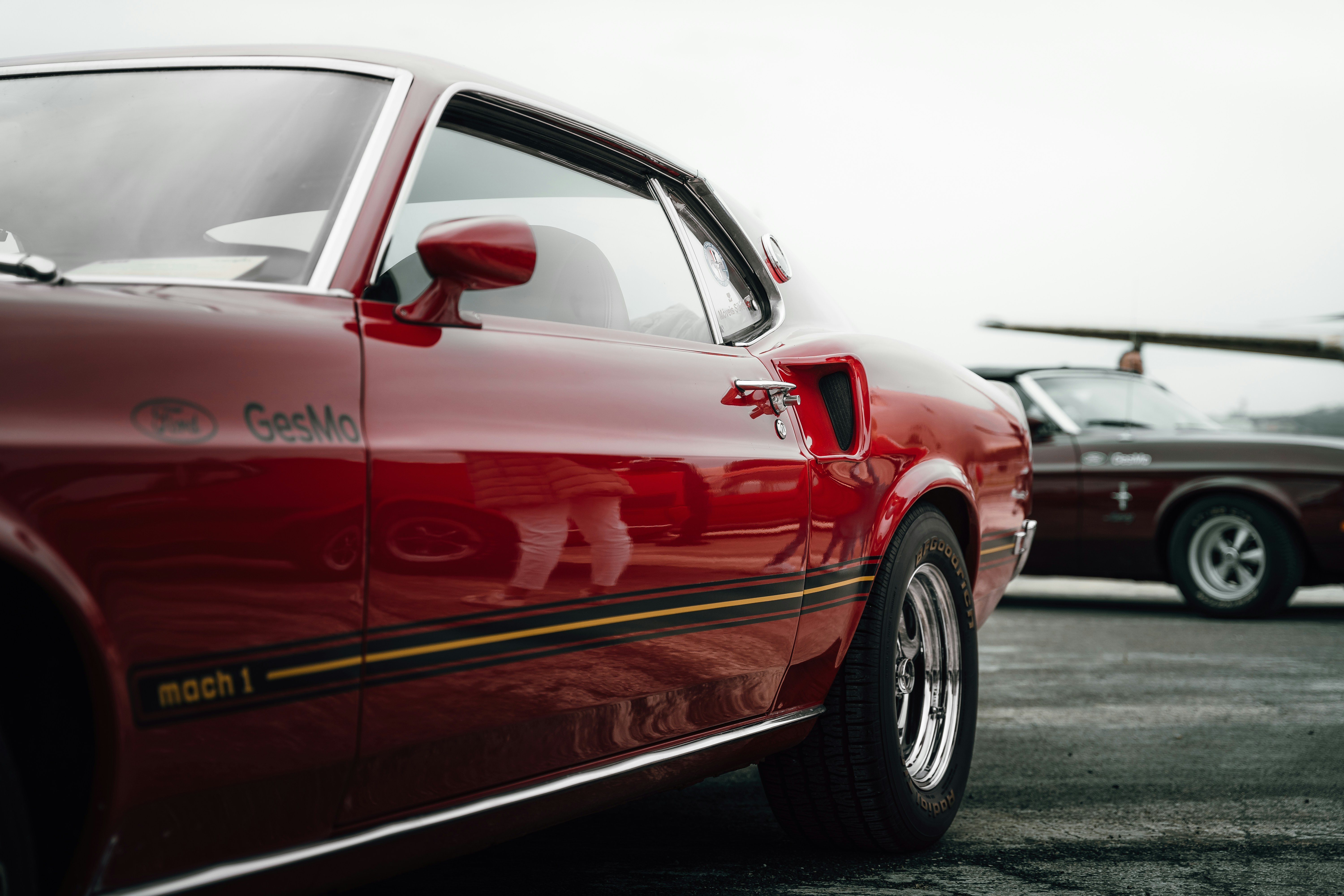 Photo by tiago_f_ferreira