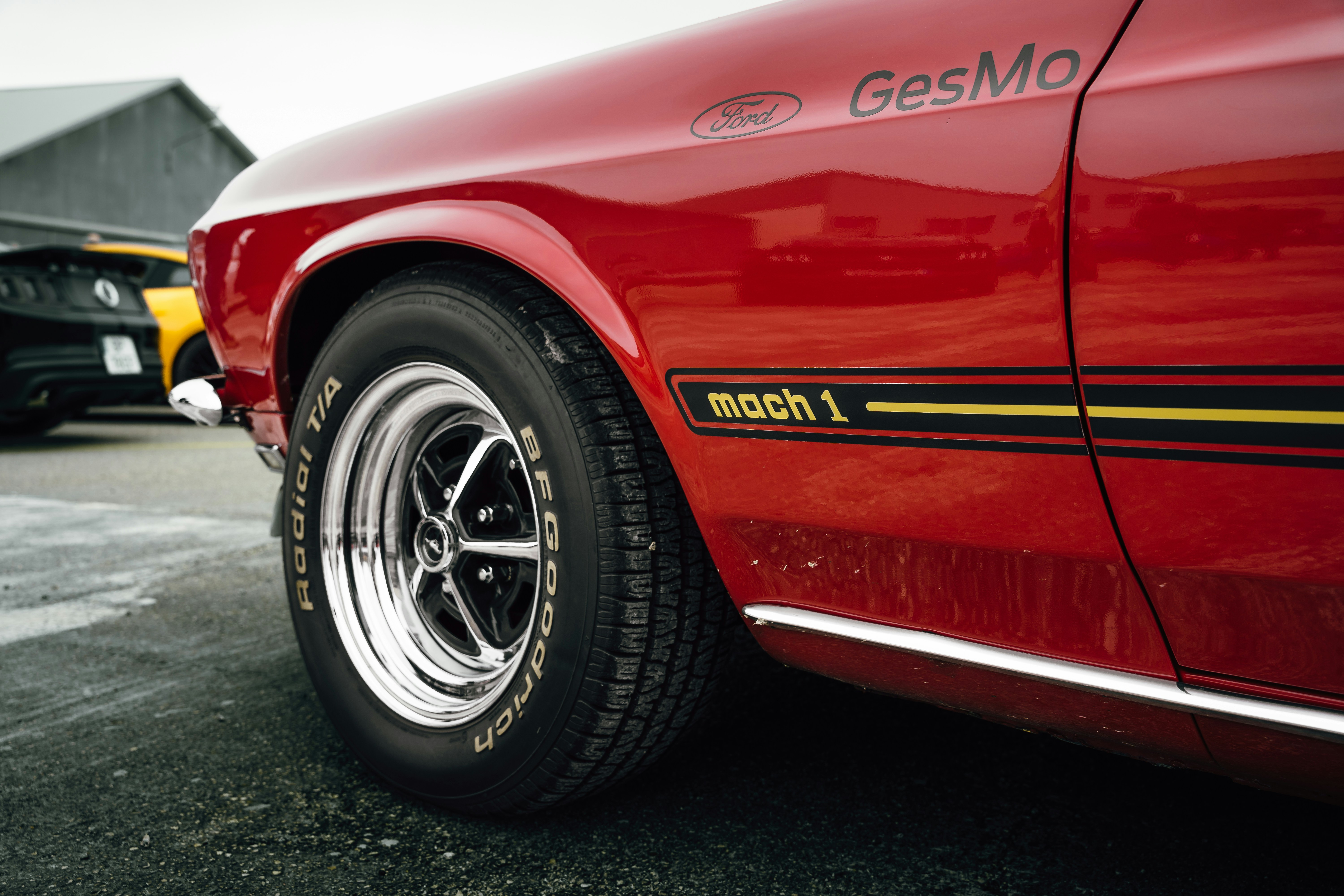 Photo by tiago_f_ferreira