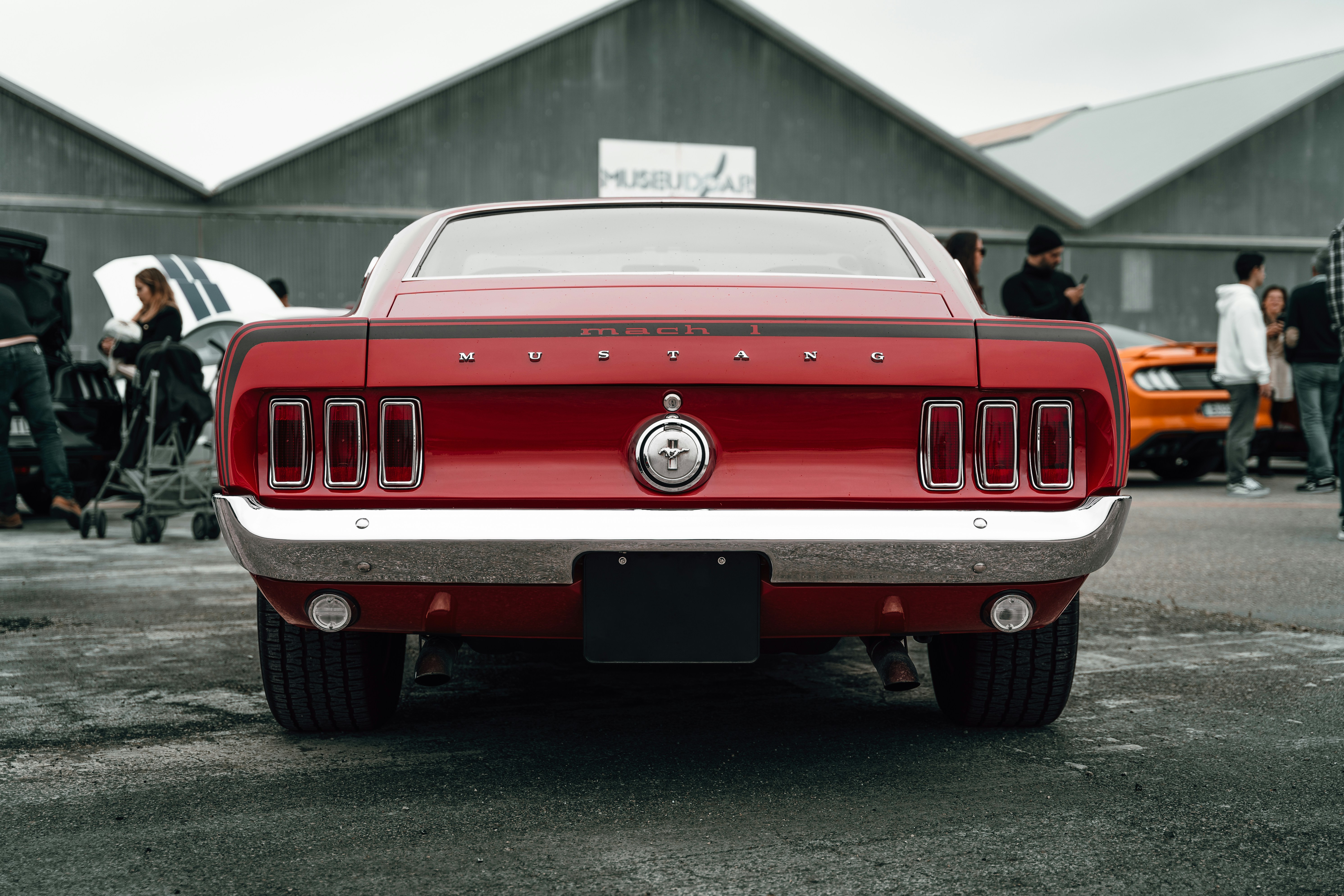 Photo by tiago_f_ferreira