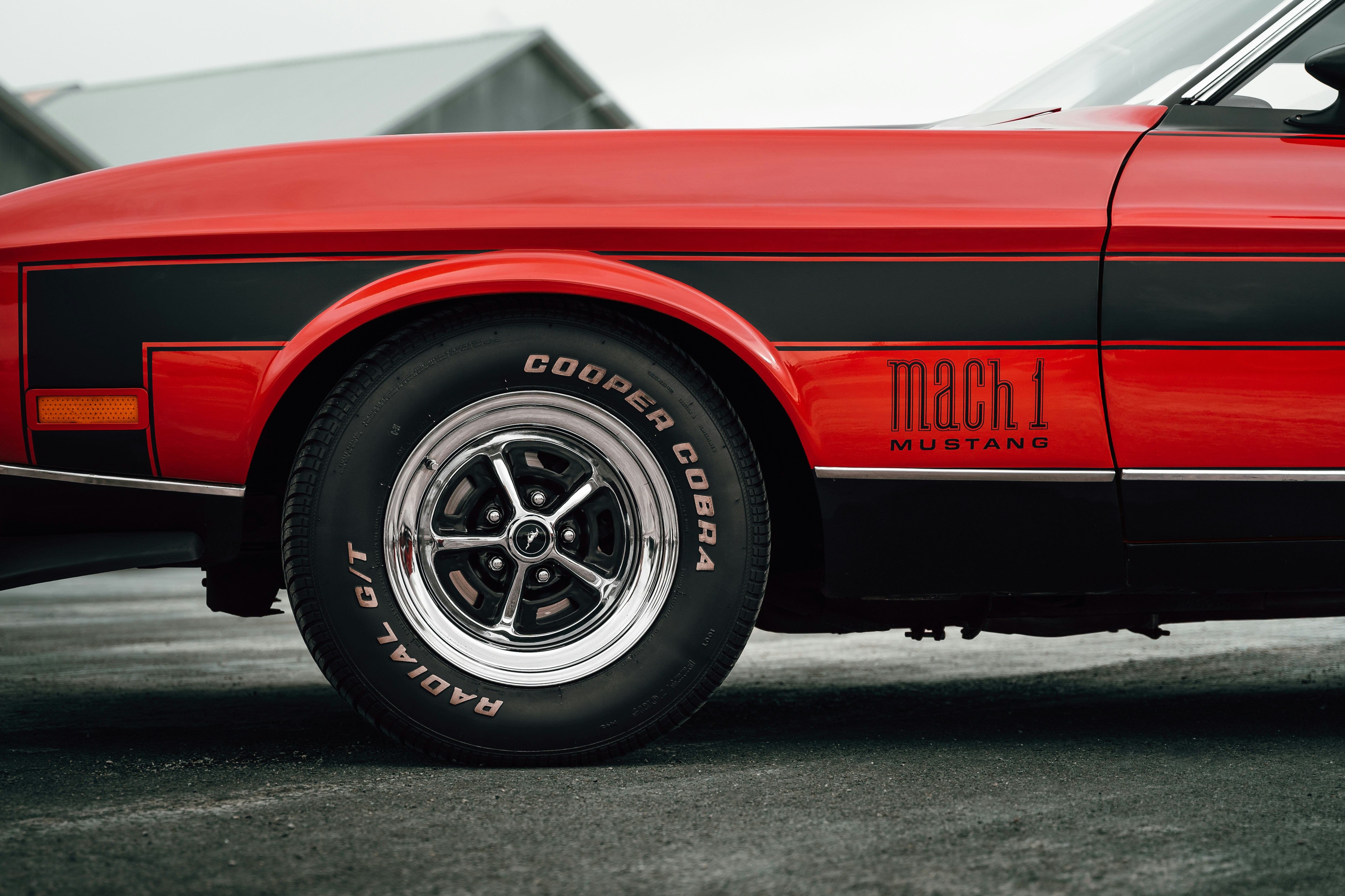 Photo by tiago_f_ferreira