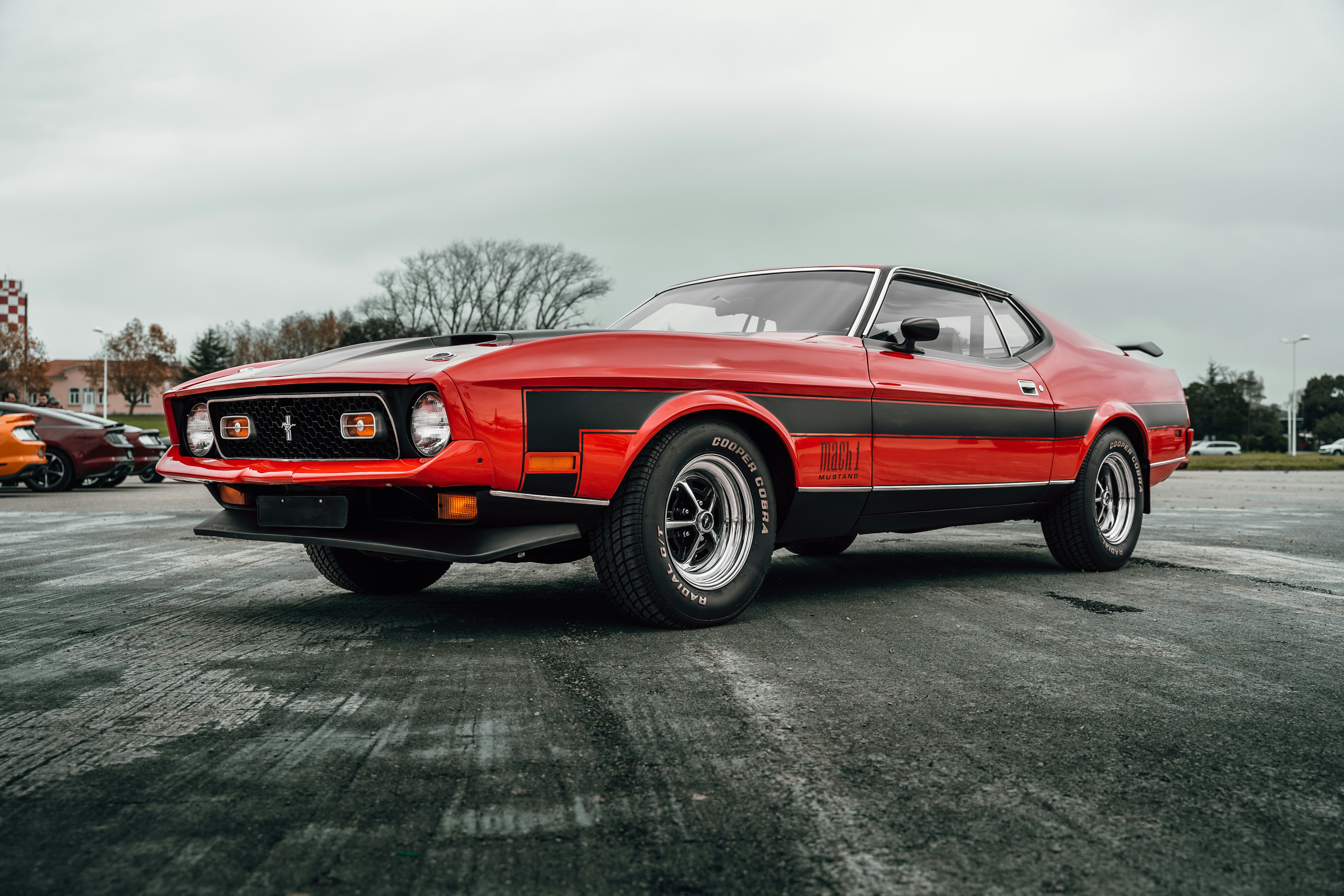 Photo by tiago_f_ferreira