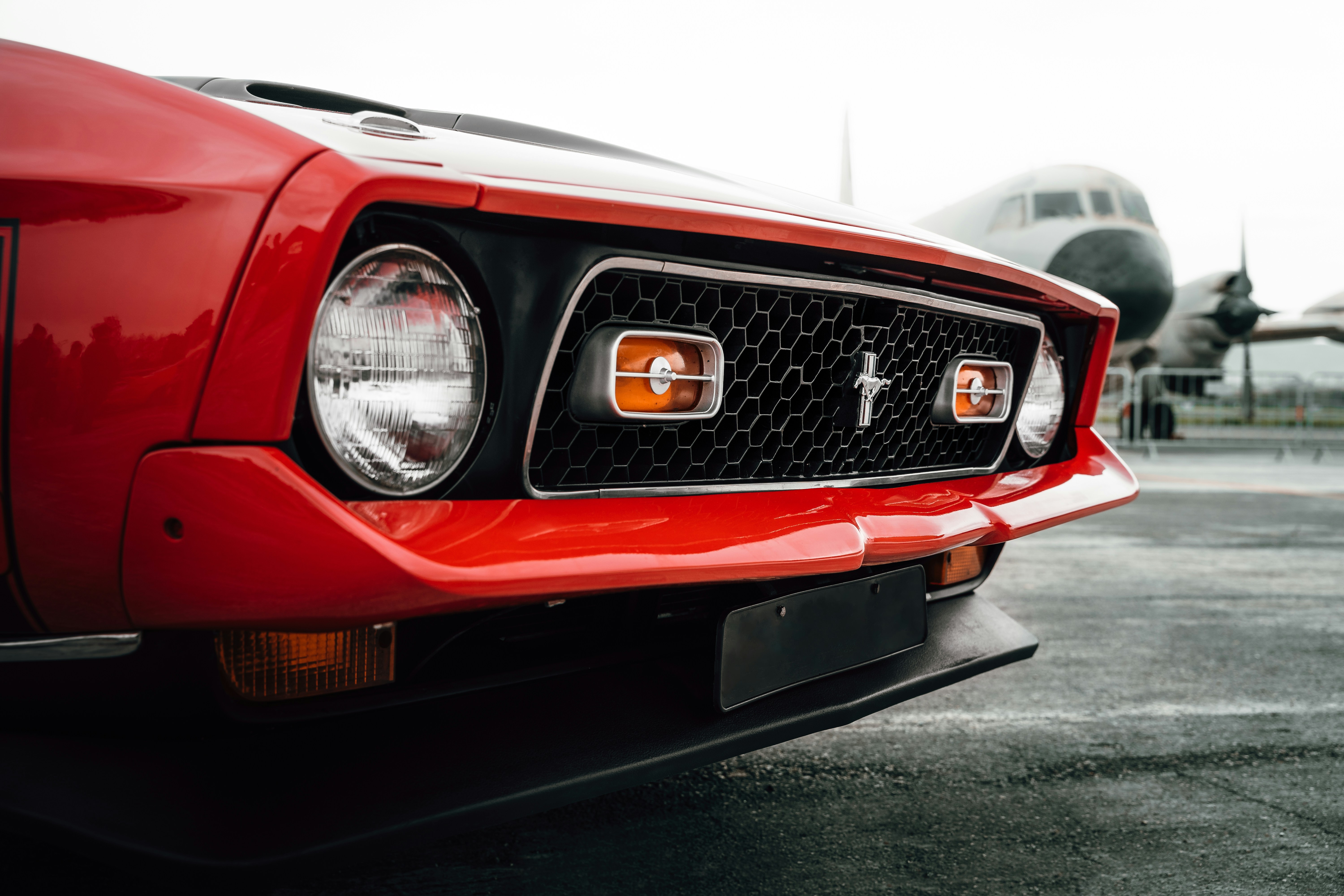 Photo by tiago_f_ferreira