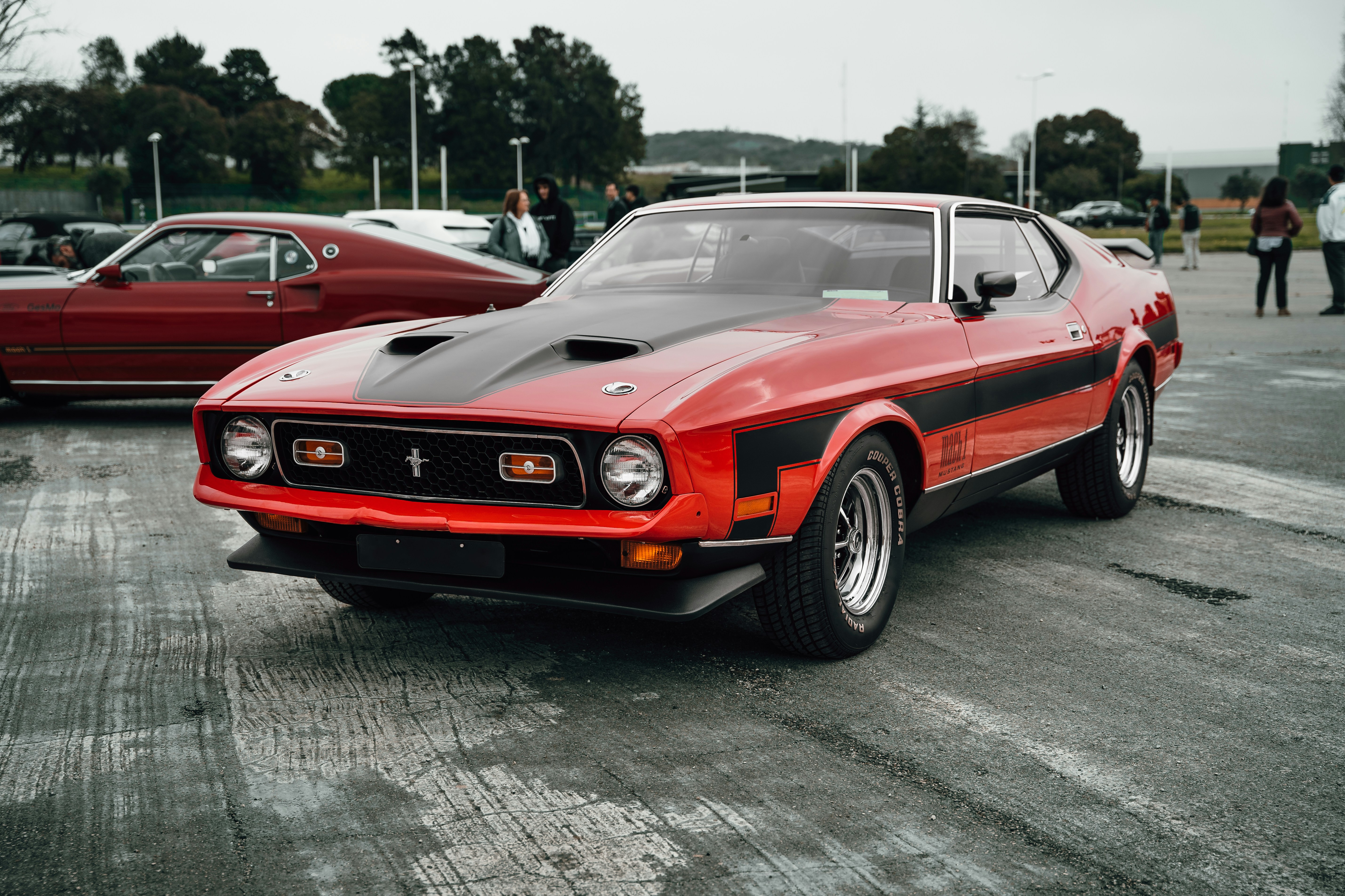 Photo by tiago_f_ferreira