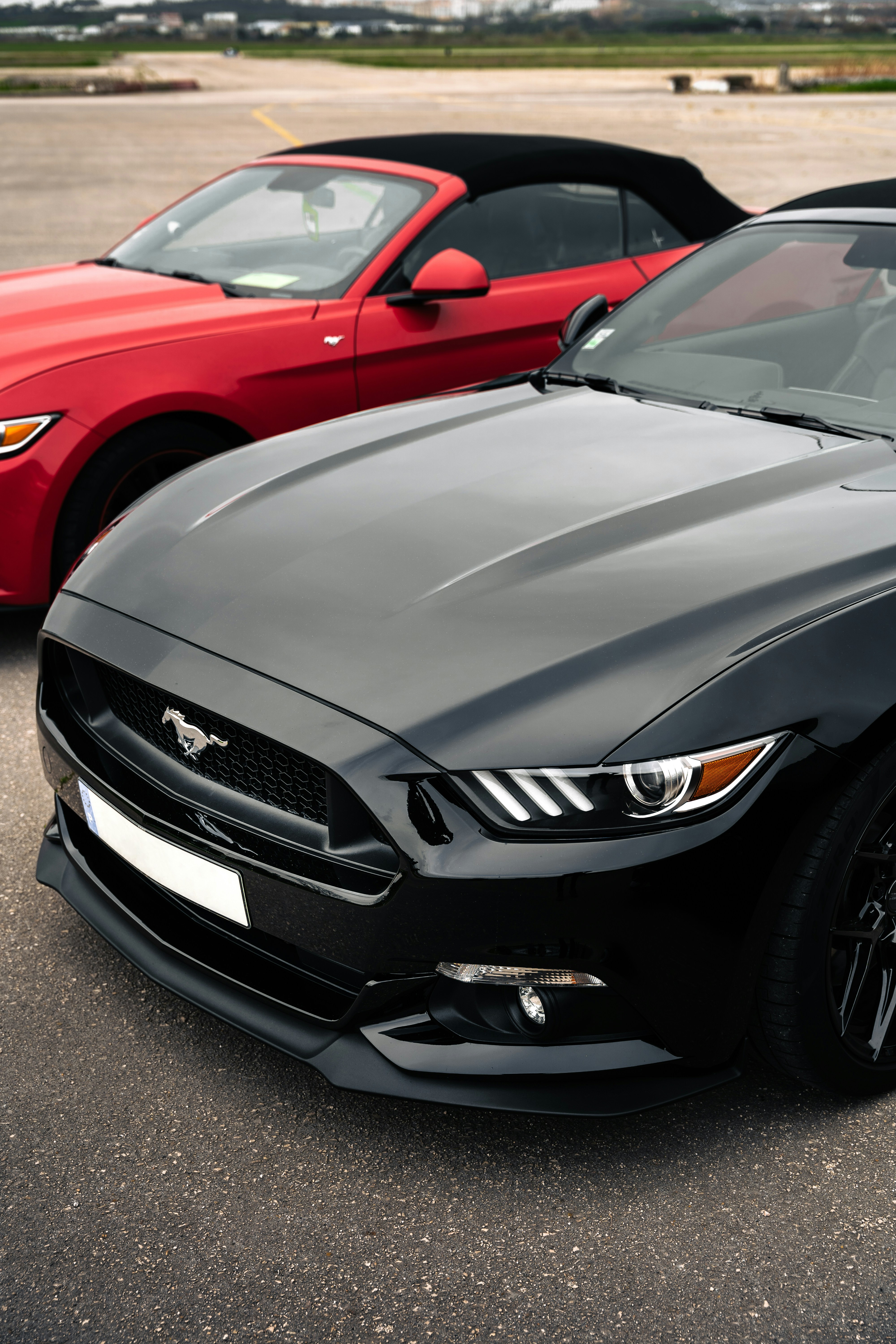 Photo by tiago_f_ferreira