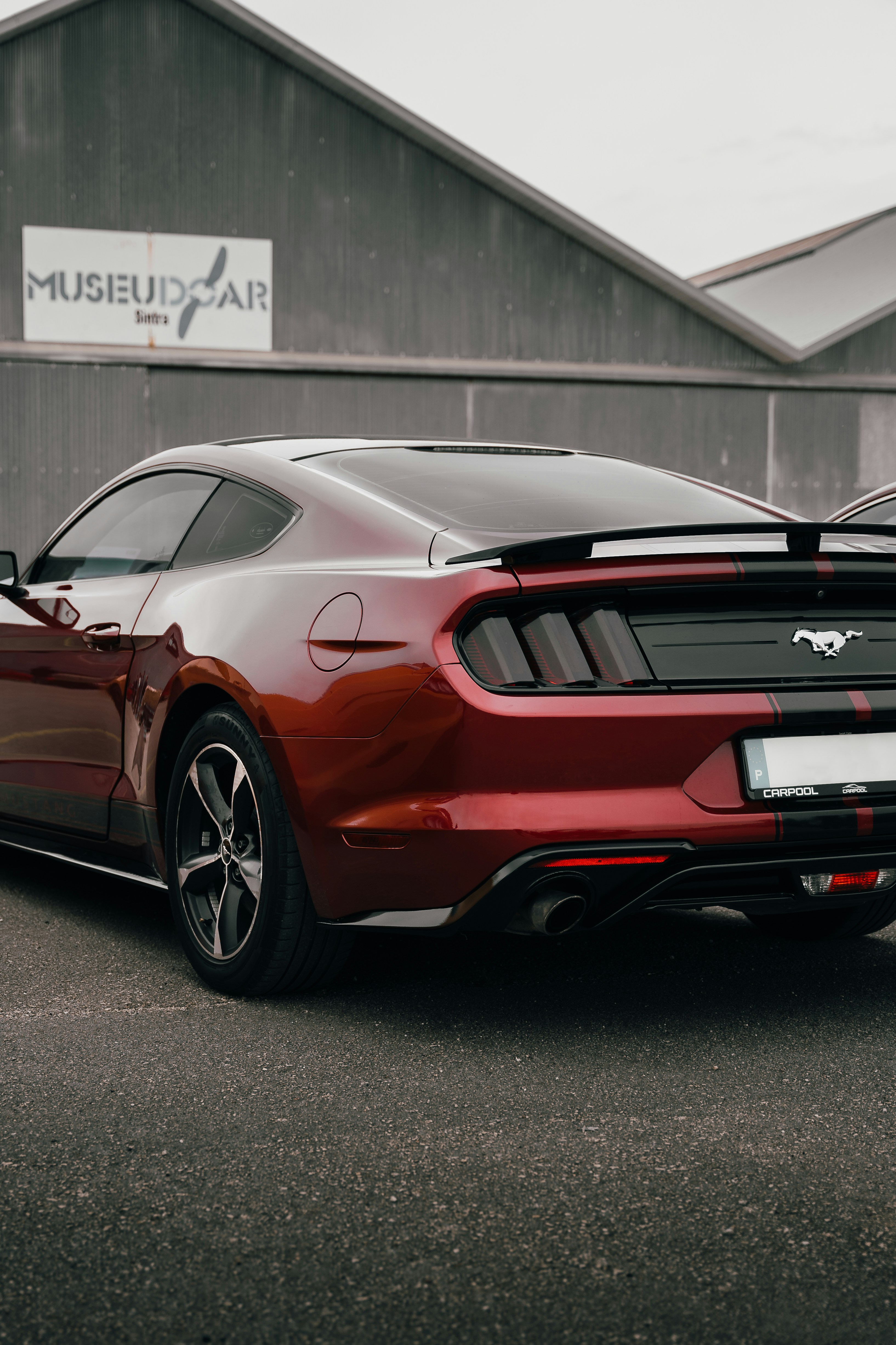 Photo by tiago_f_ferreira