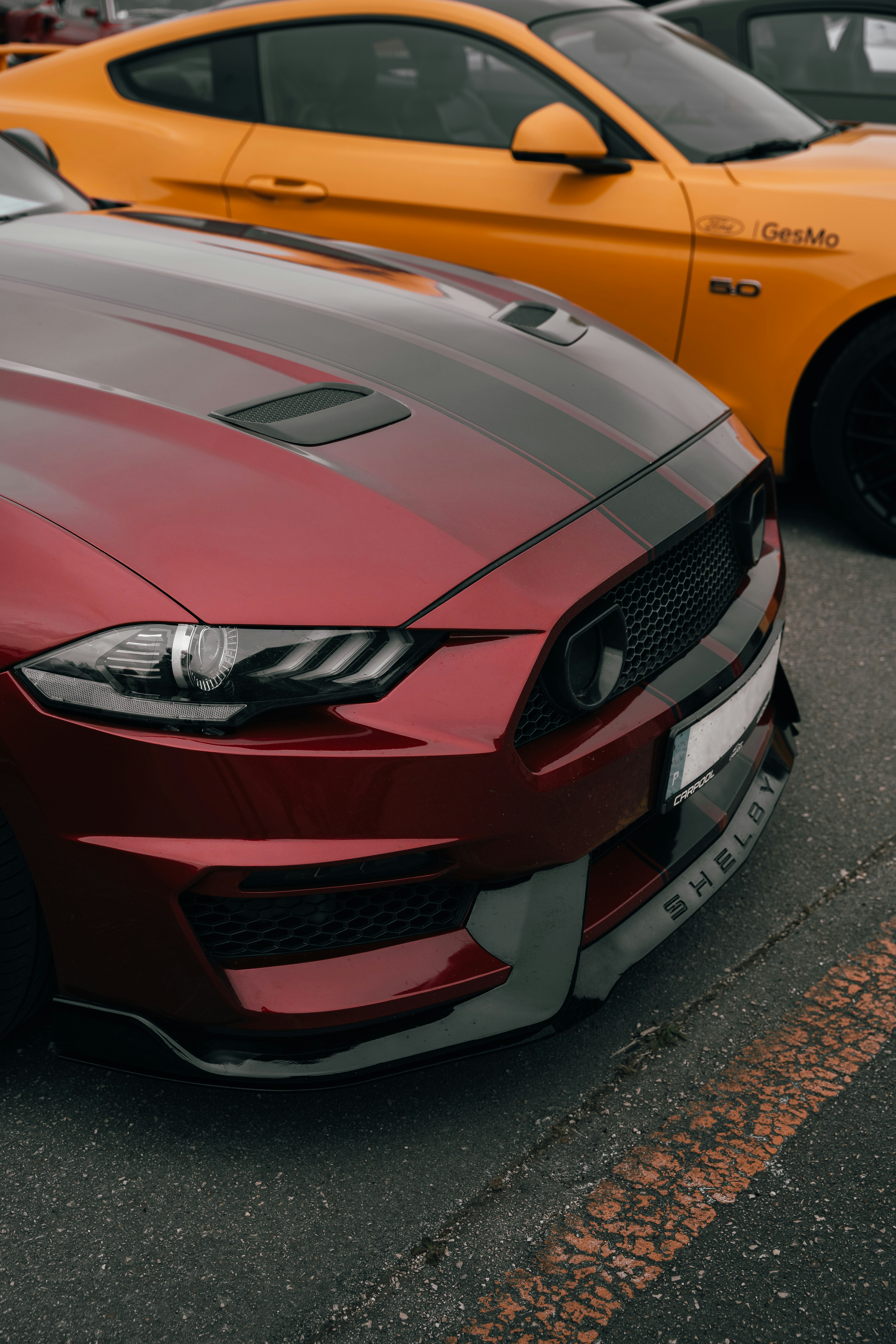 Photo by tiago_f_ferreira