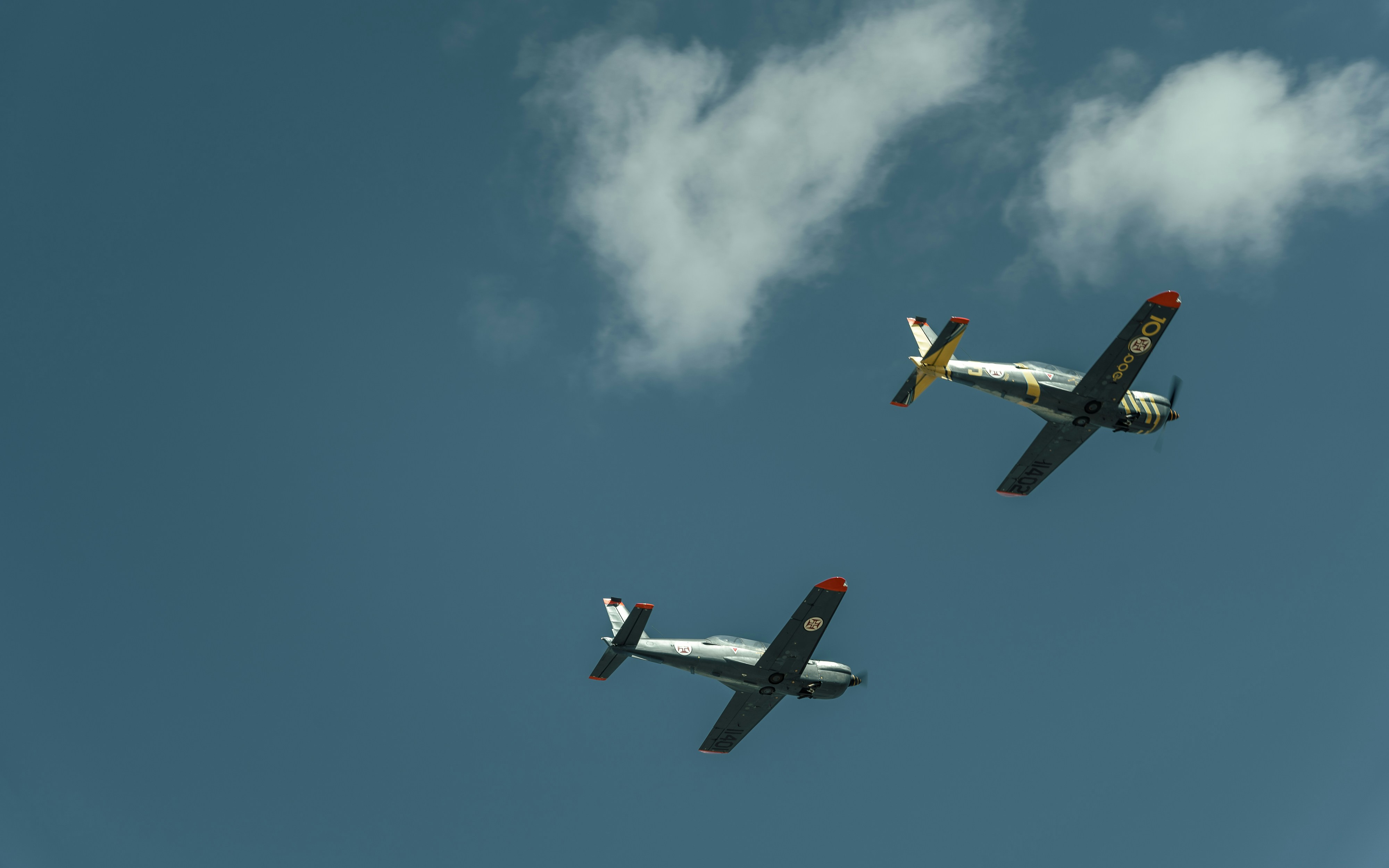 Photo by tiago_f_ferreira