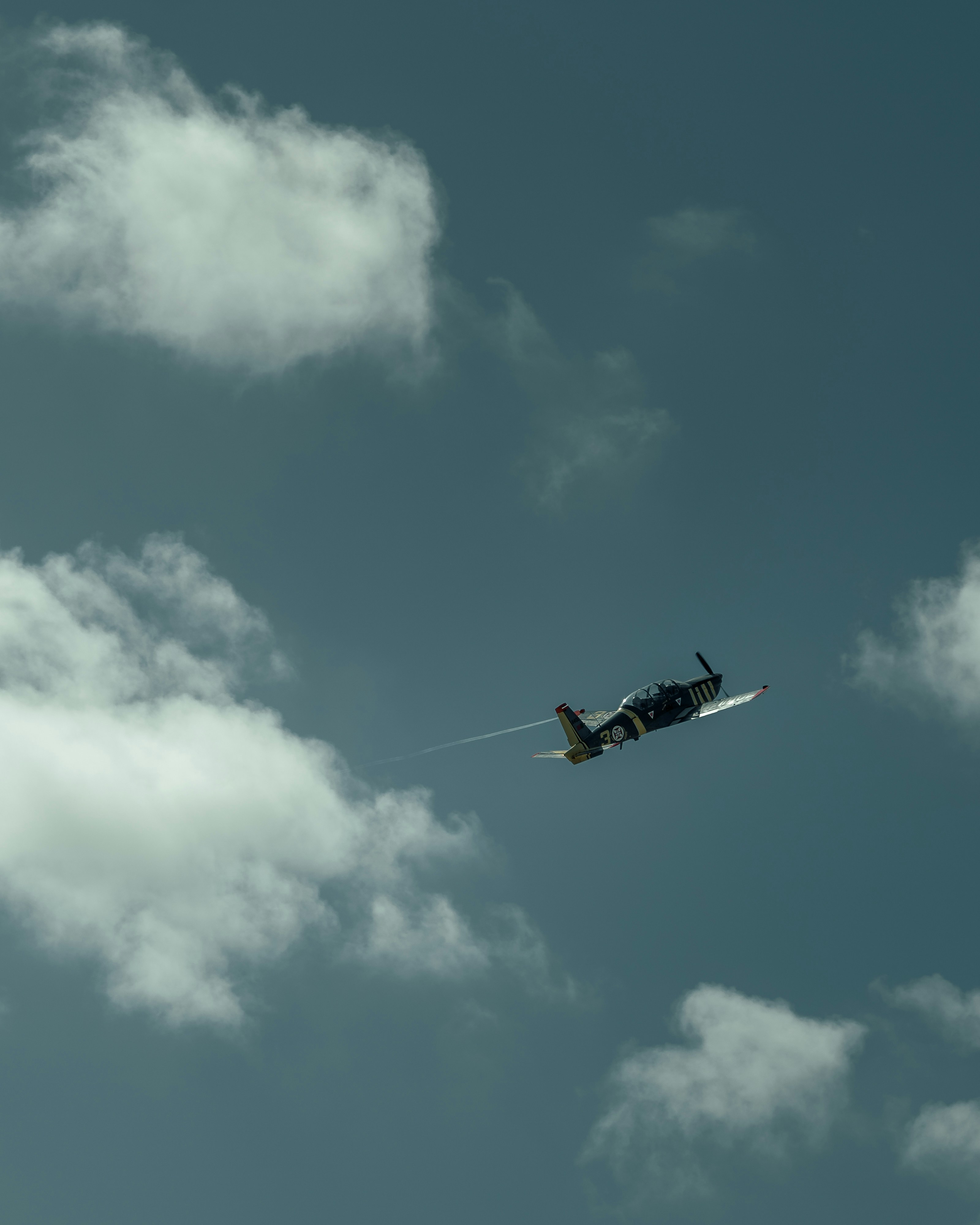 Photo by tiago_f_ferreira