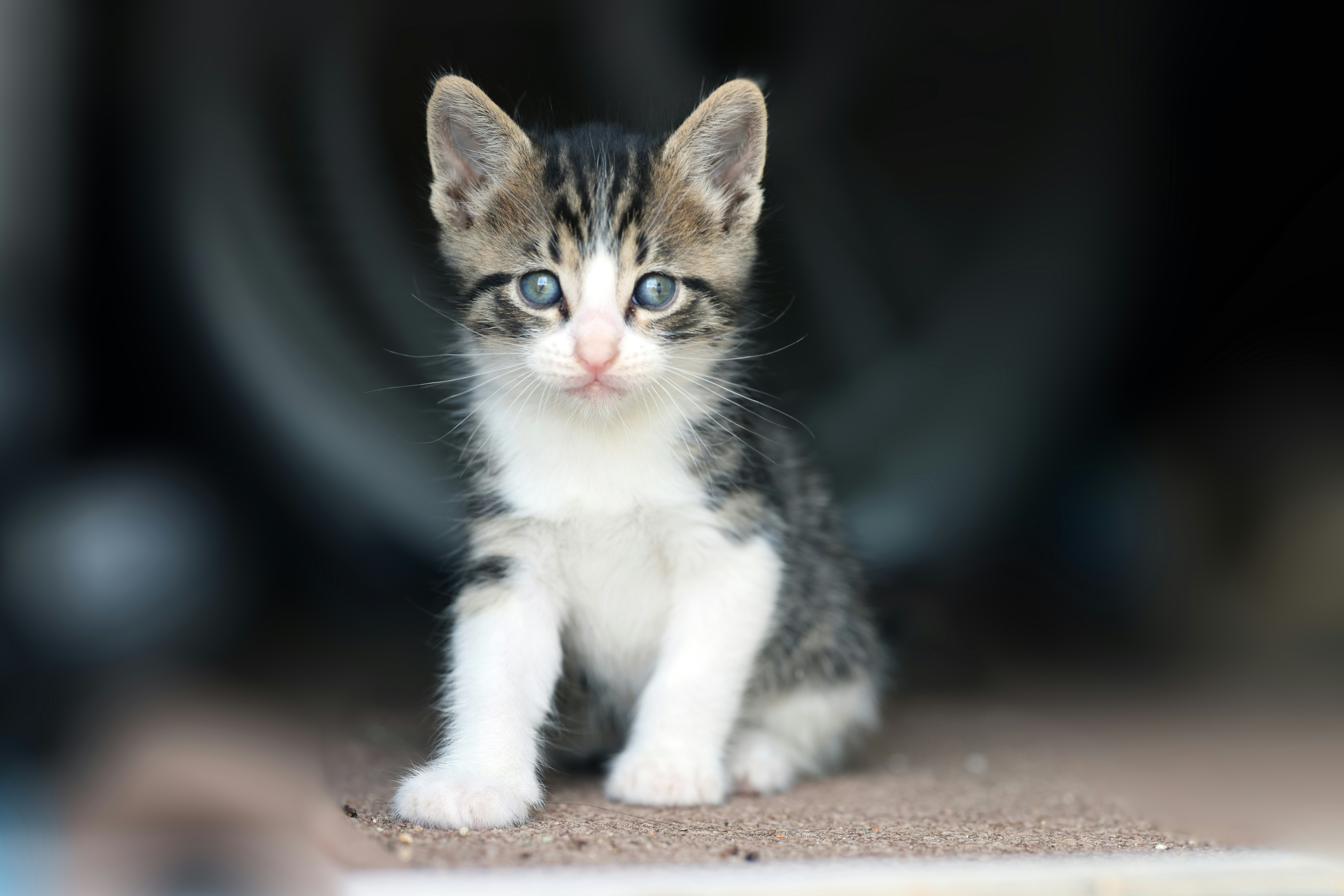 Photo by waykanstudio