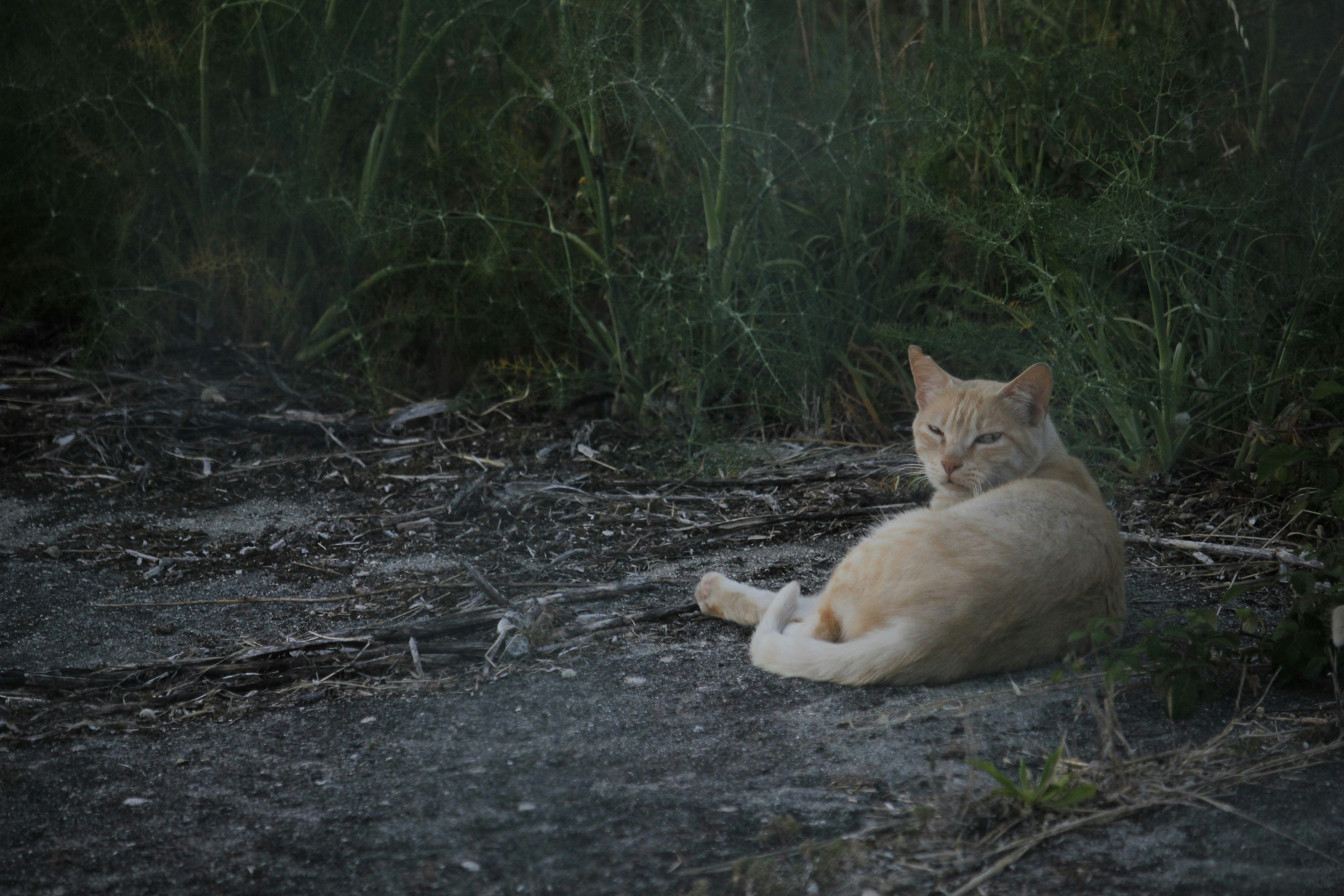 Photo by merio09
