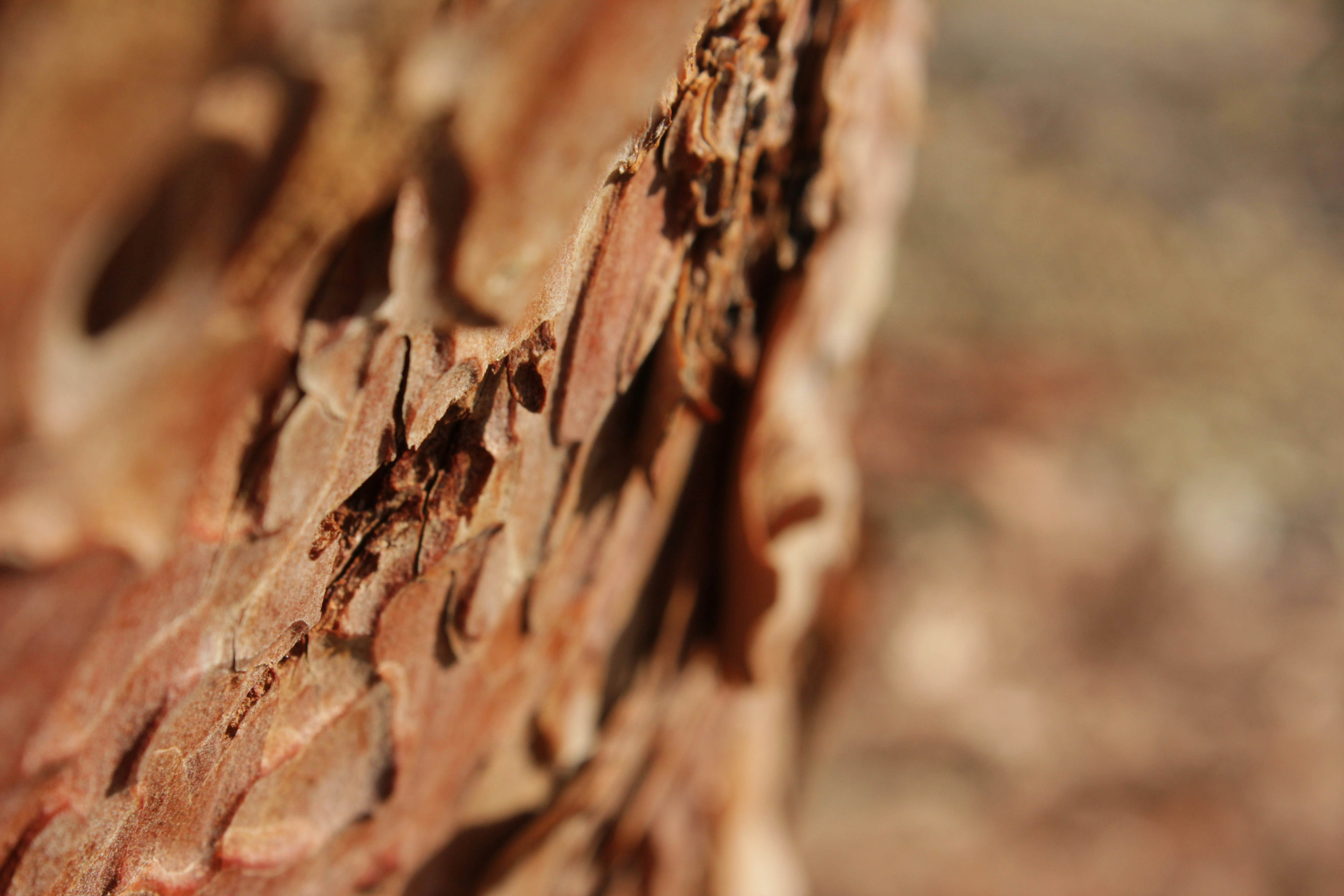 Photo by brighteyes2008