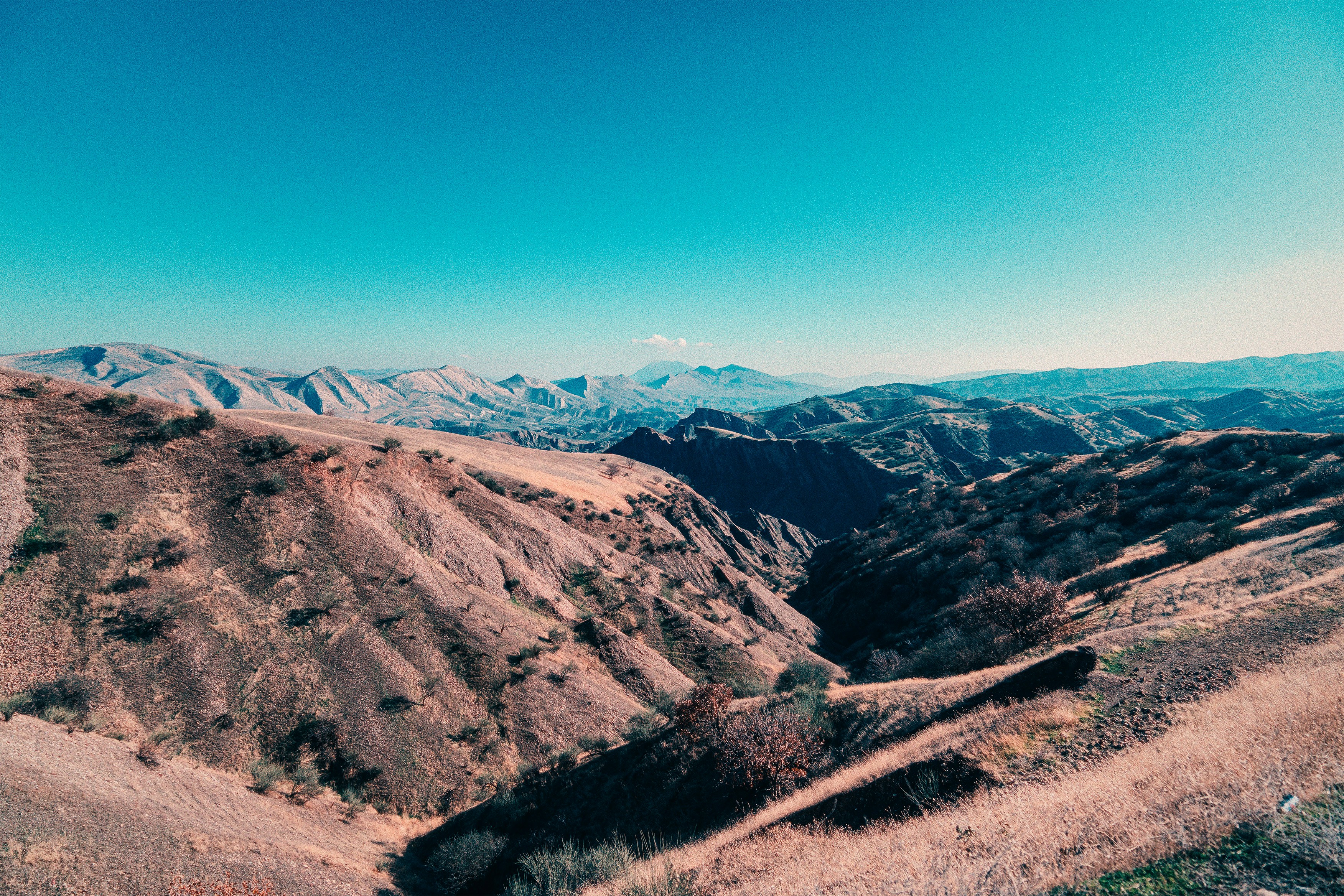 Photo by photographer_esmihel