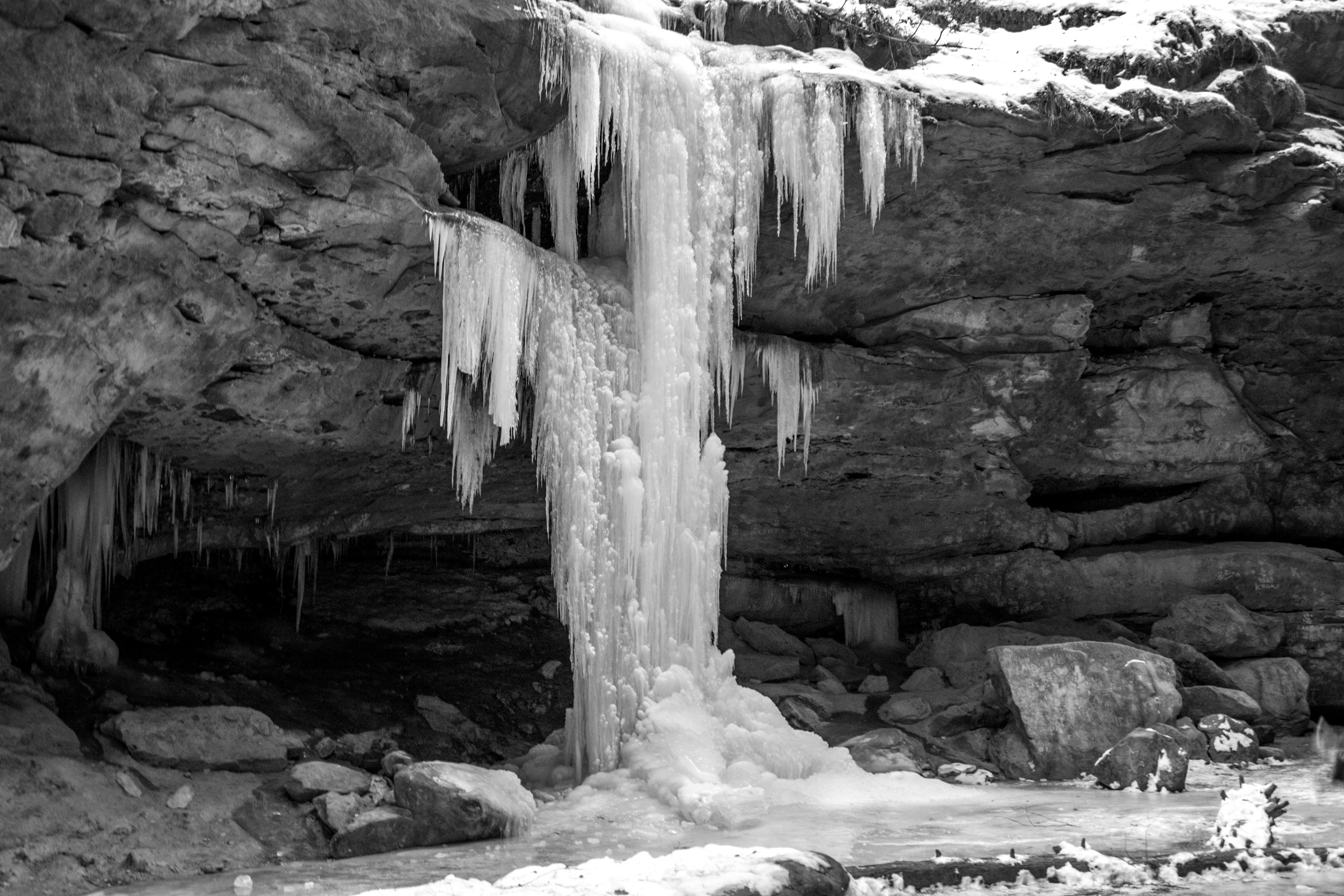 Photo by animalfaceandy