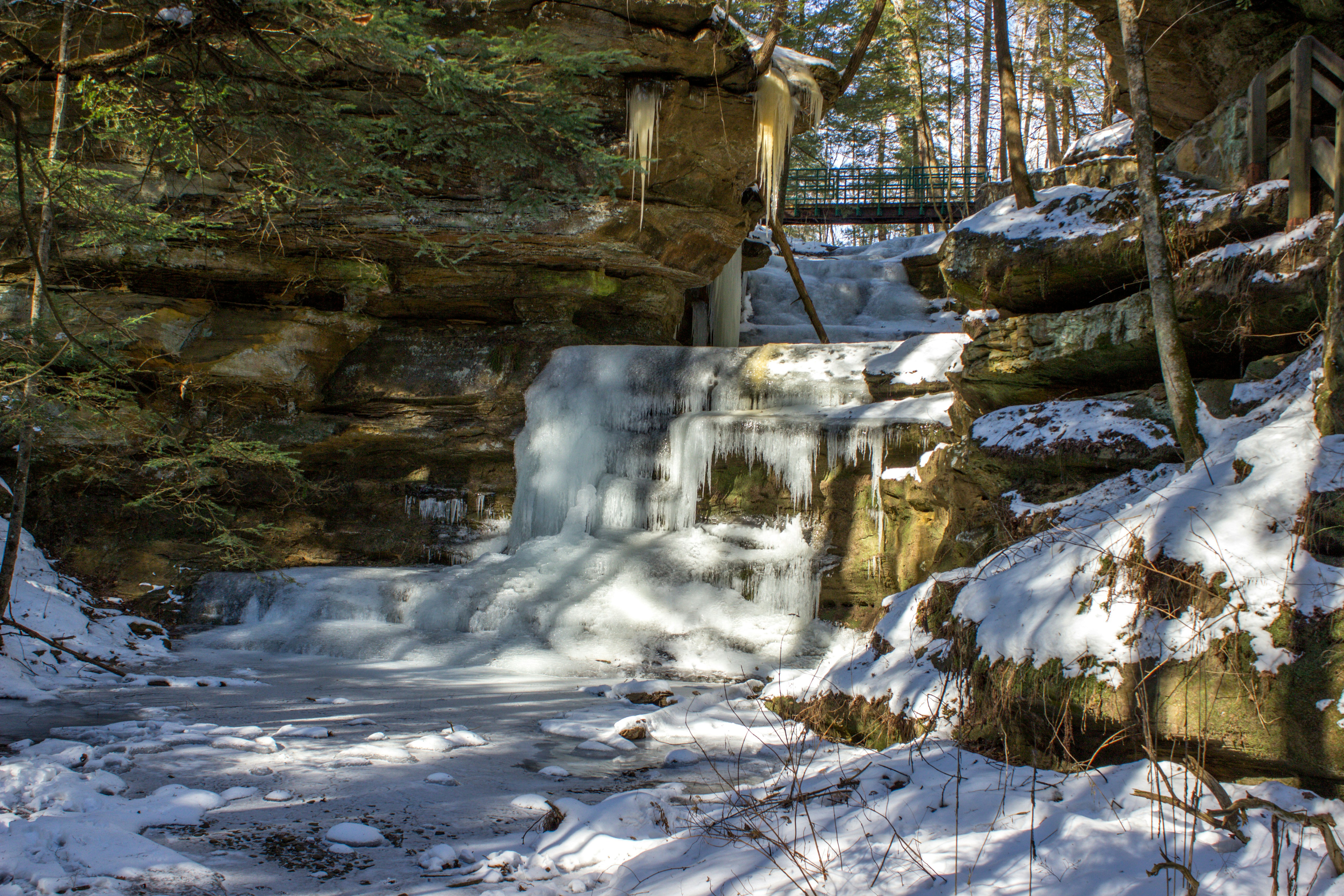 Photo by animalfaceandy