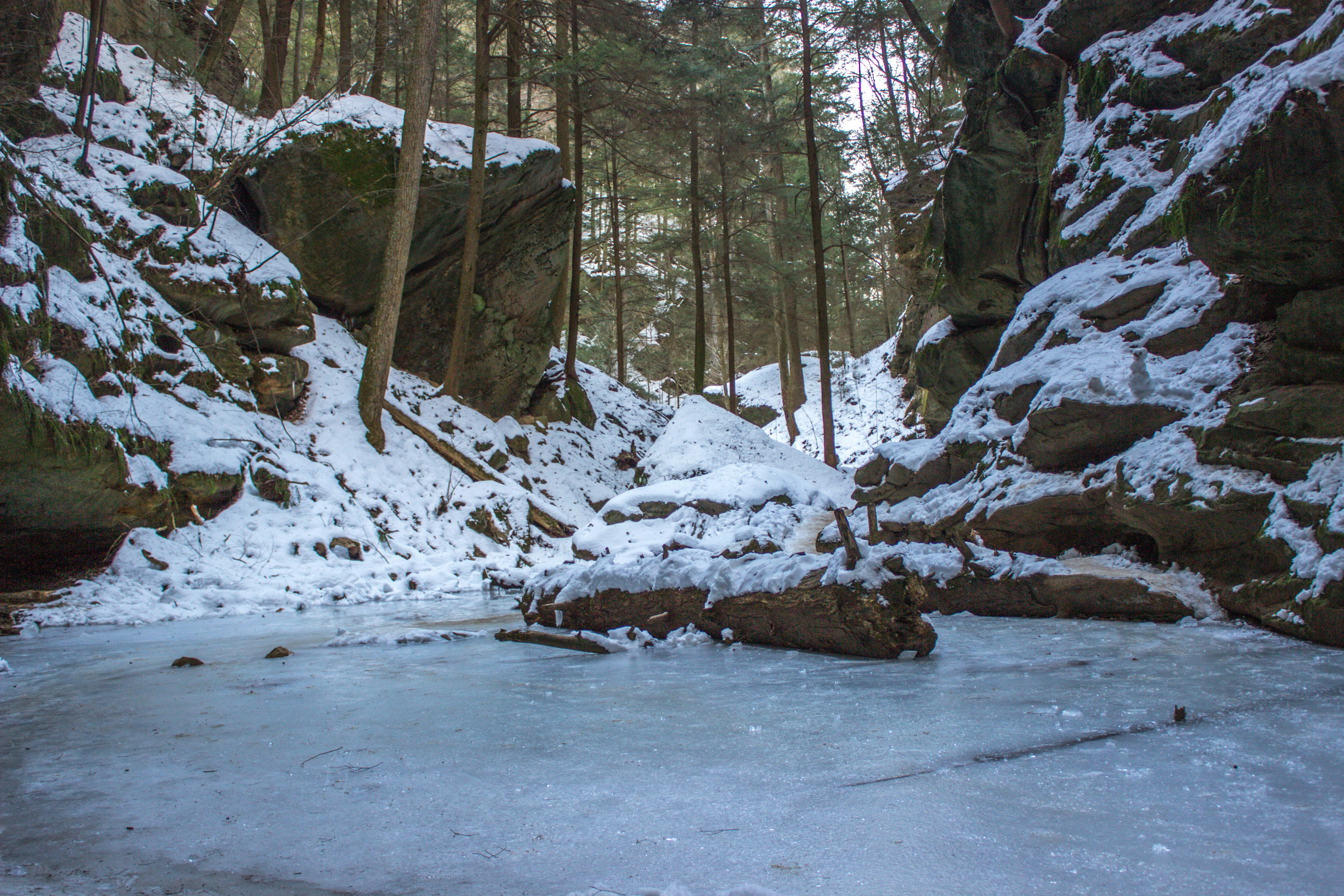 Photo by animalfaceandy