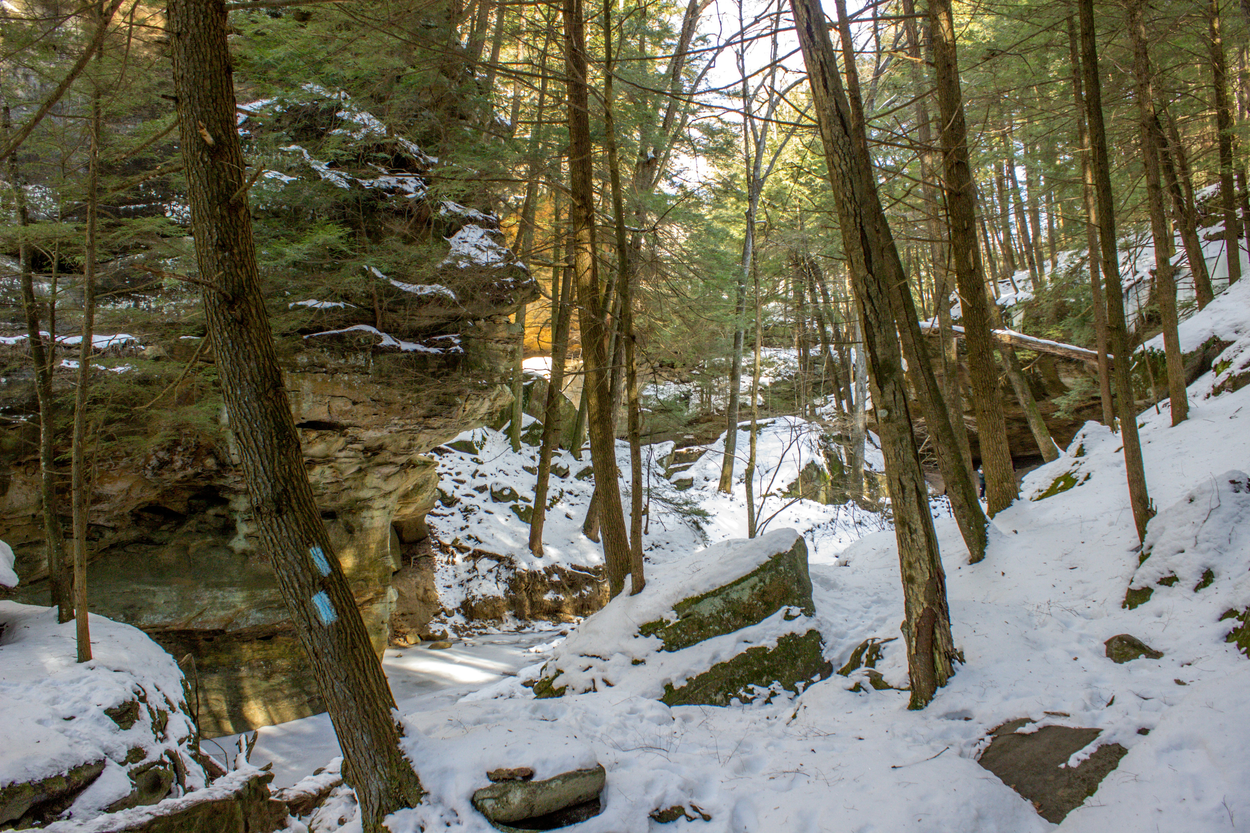 Photo by animalfaceandy