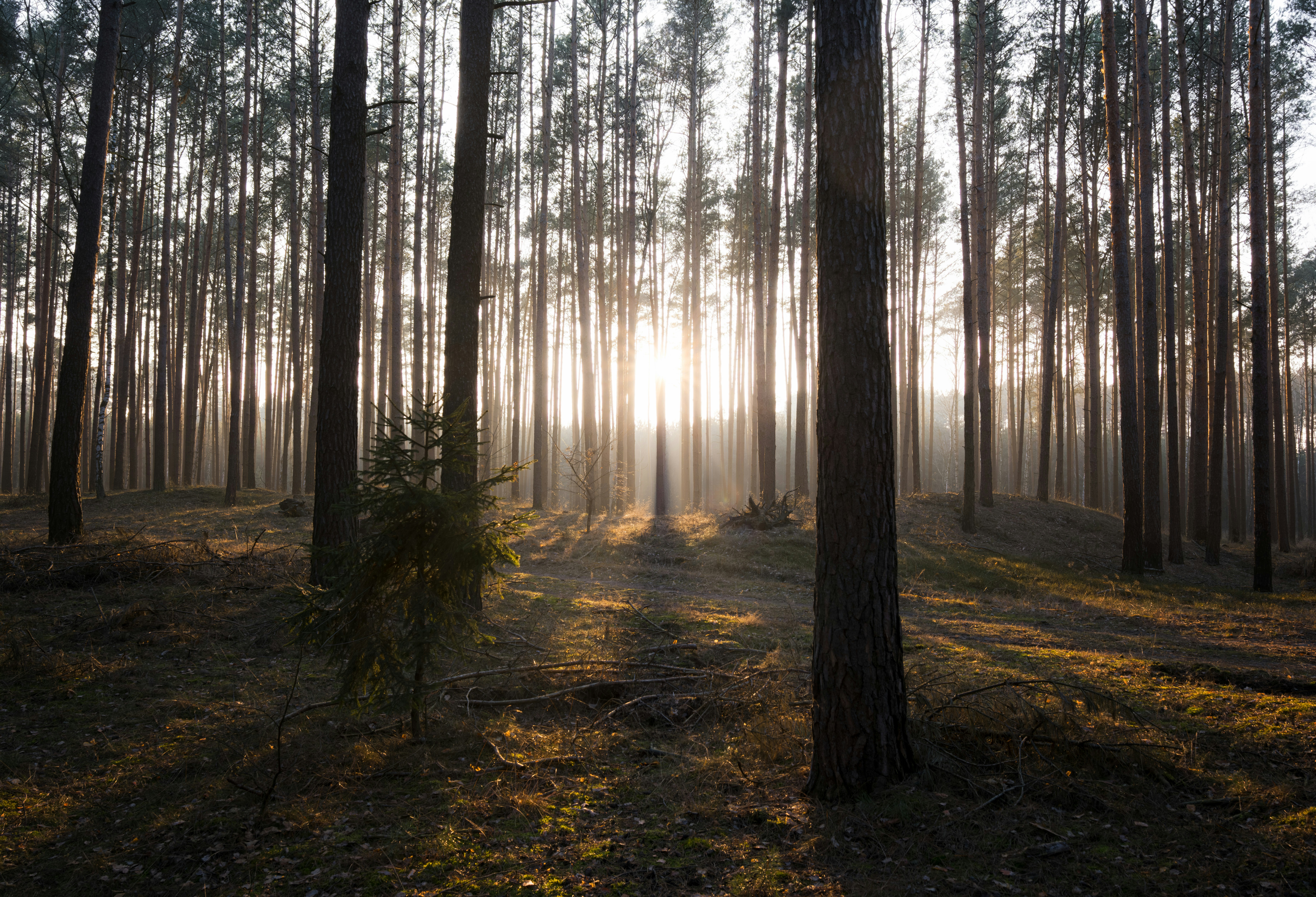 Photo by victor_vector