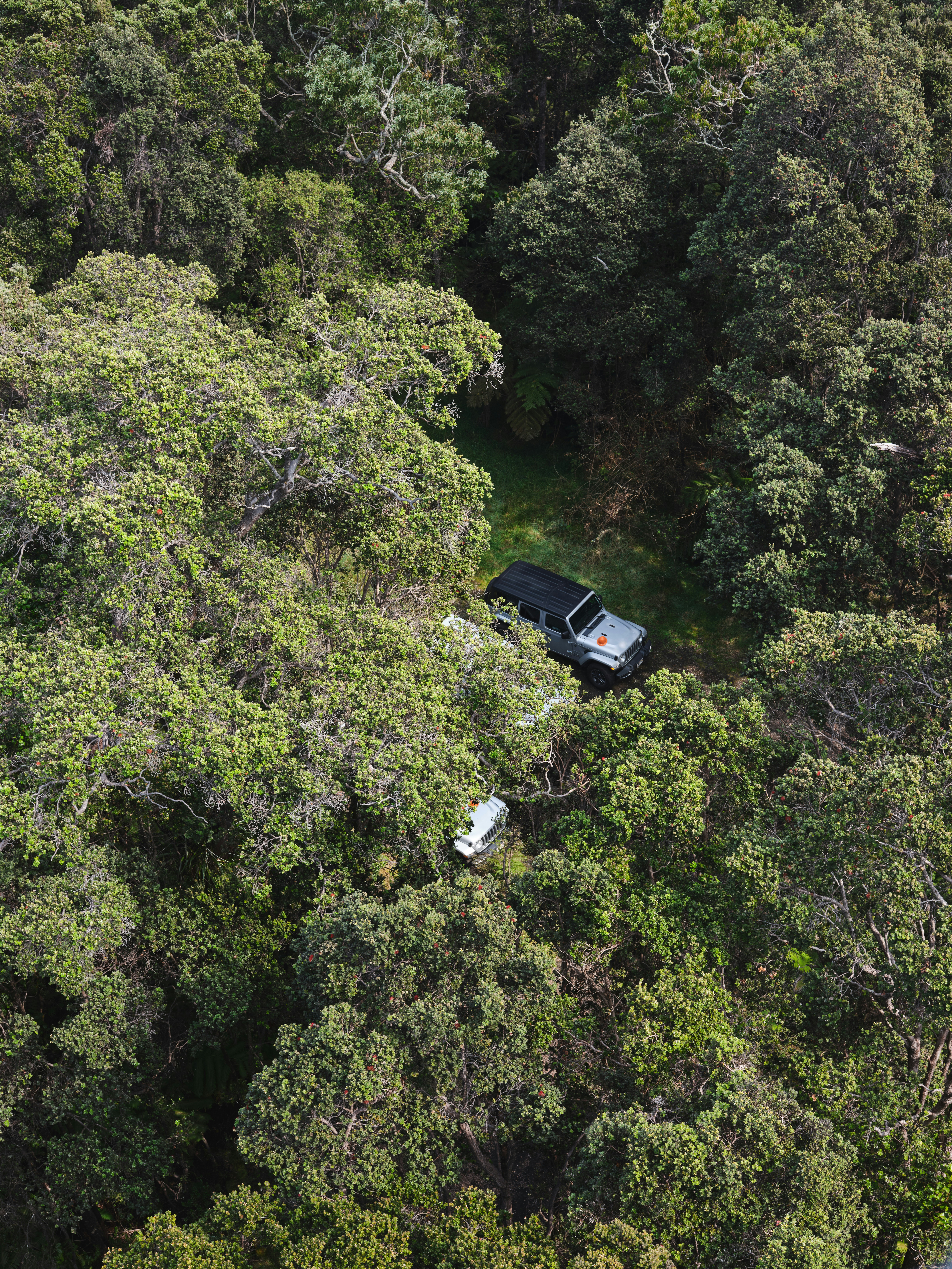 An aerial view of a house in the middle of a forest