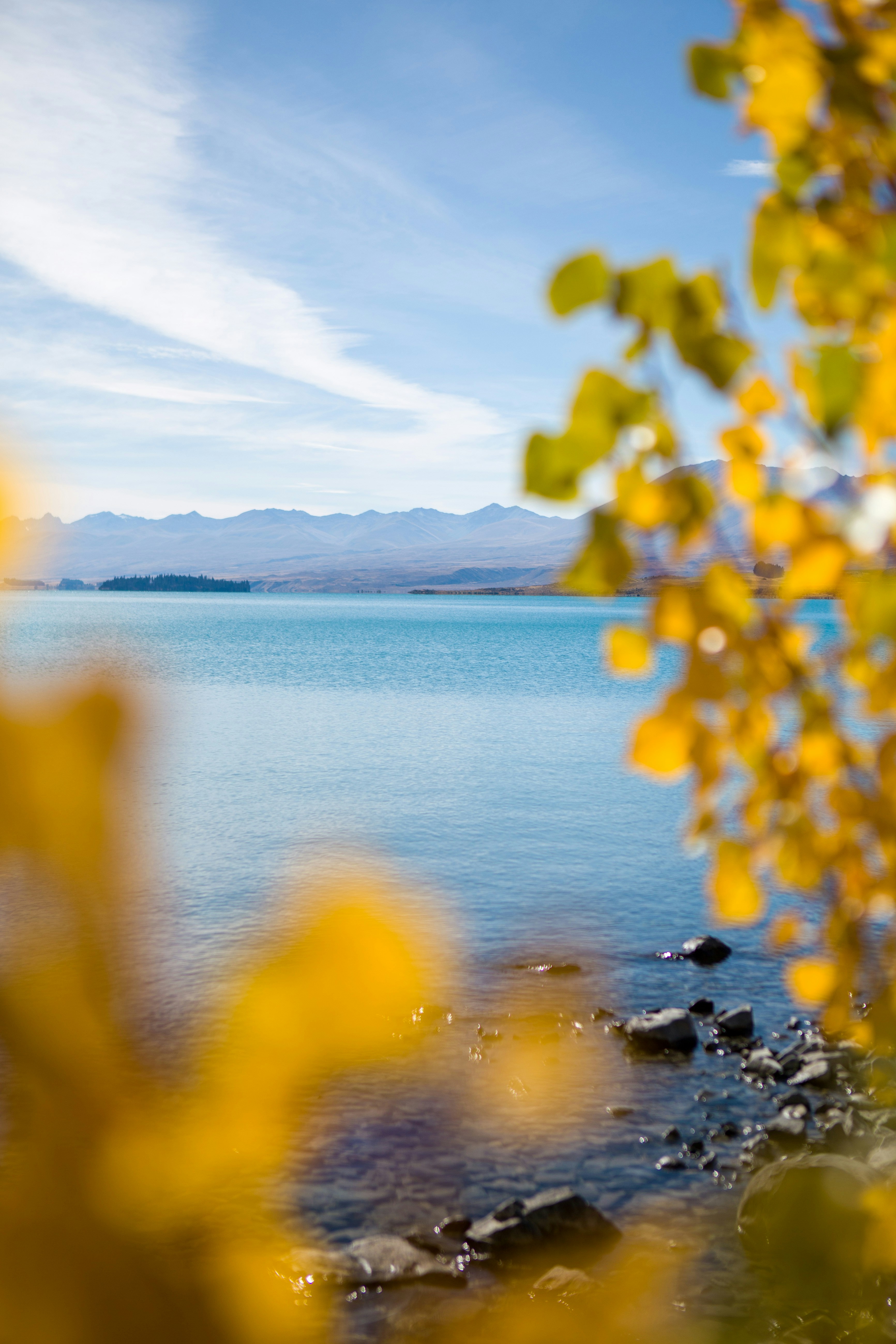 Photo by mrmarkdejong