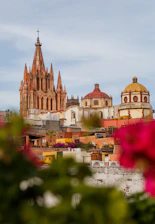 A view of a city from a distance with flowers in the foreground
