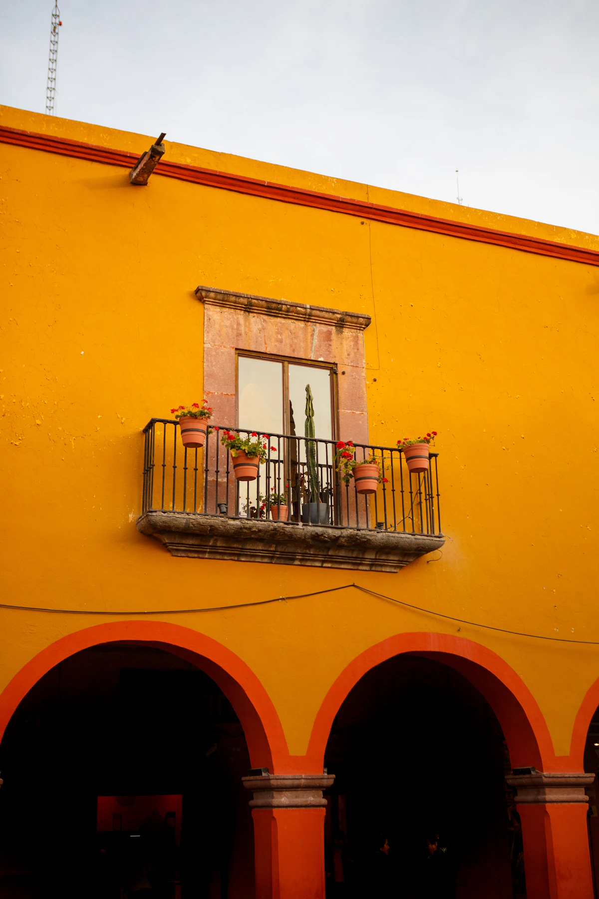 San Miguel de Allende Parroquia at sunset with marigolds