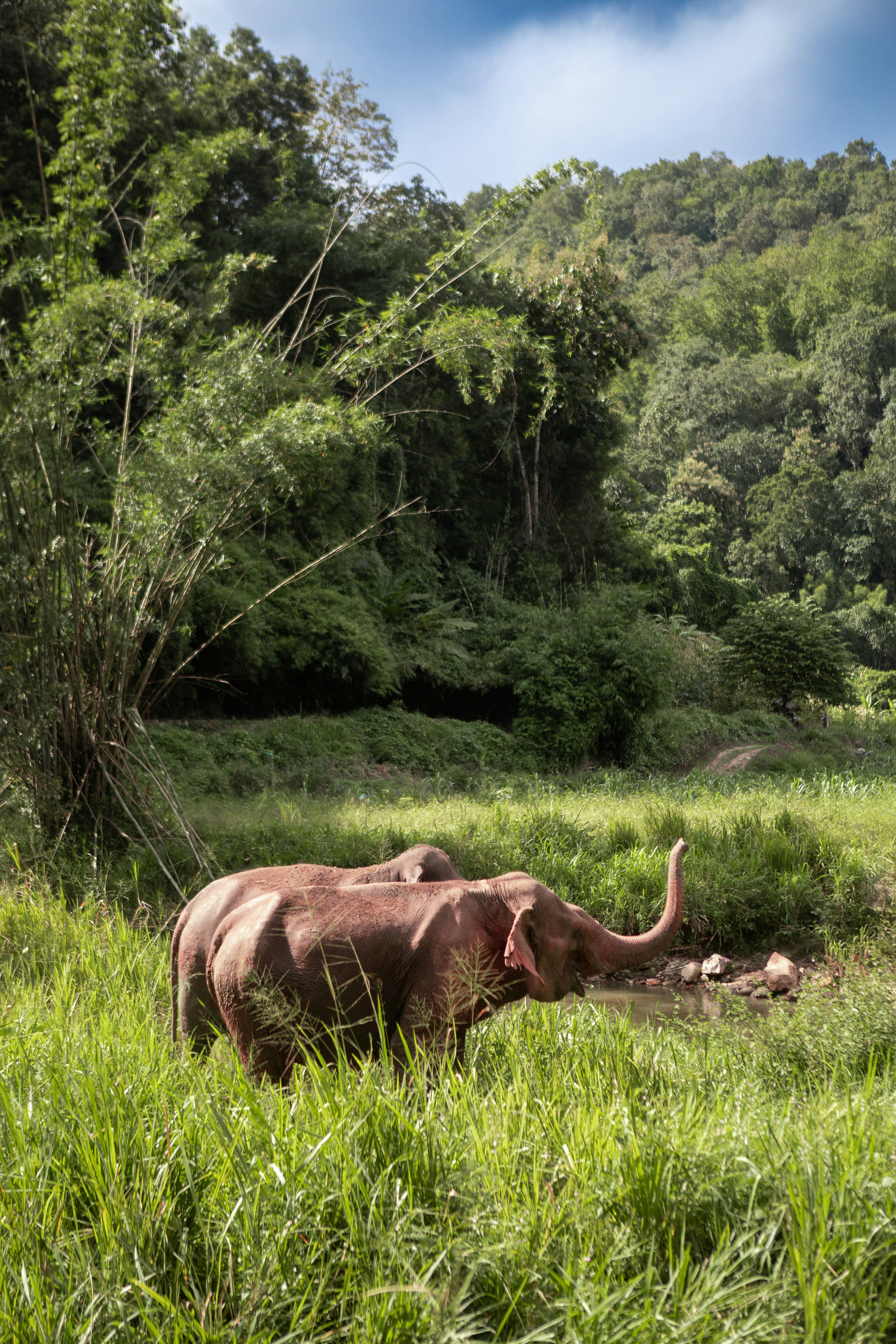 Photo by mrmarkdejong