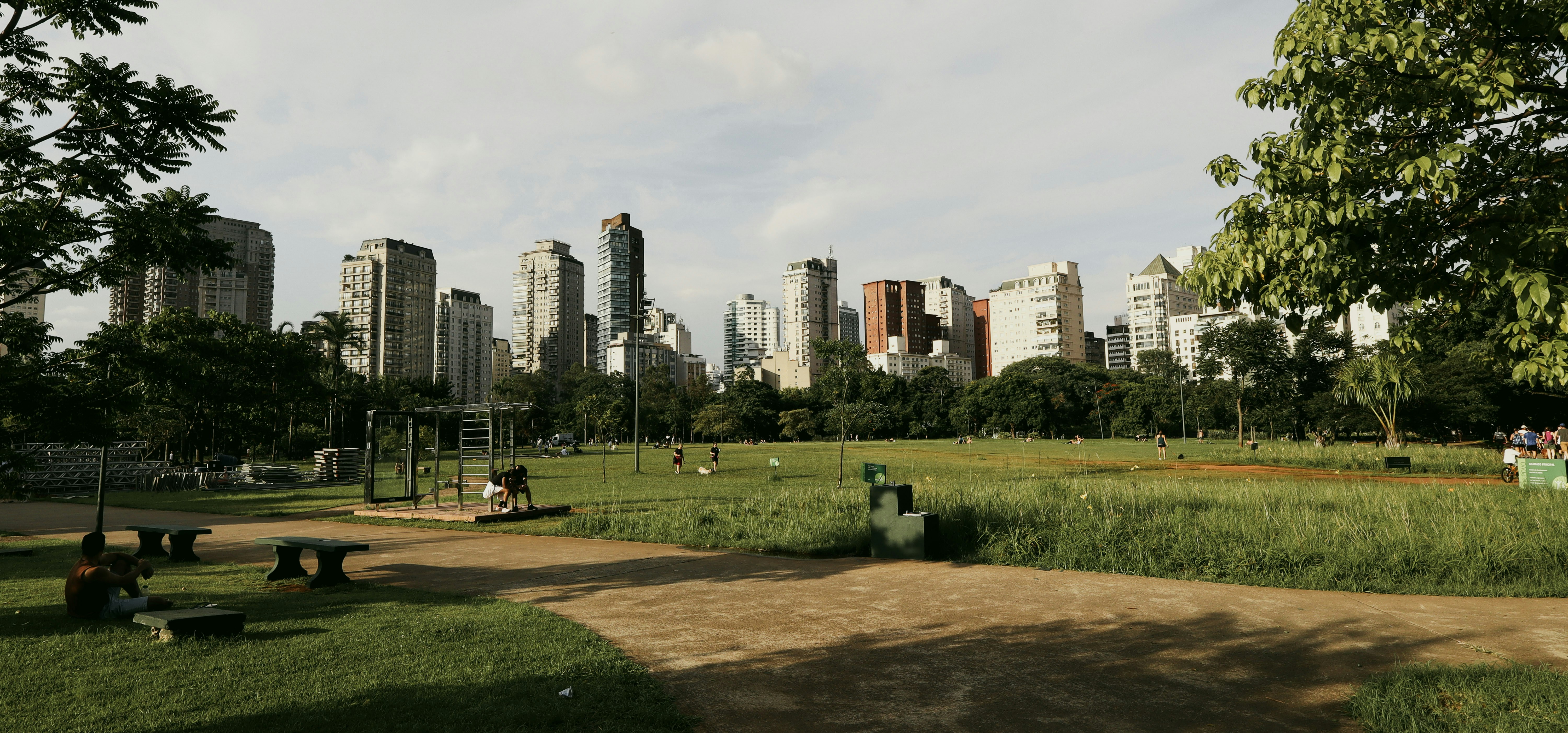 Dogs playing in River North dog park with Chicago skyline in background - dog parks in river north chicago