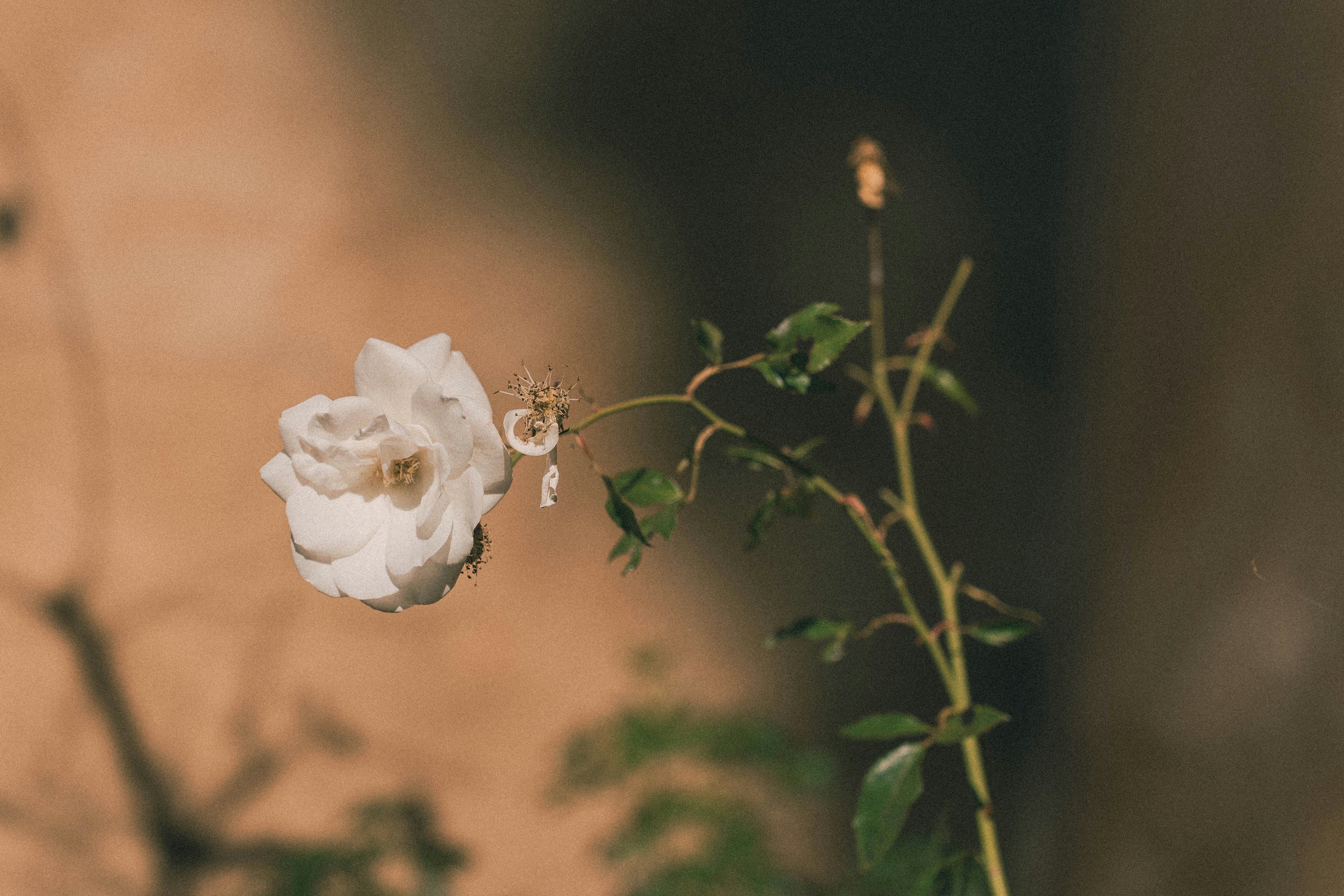 Photo by tarc_maylor