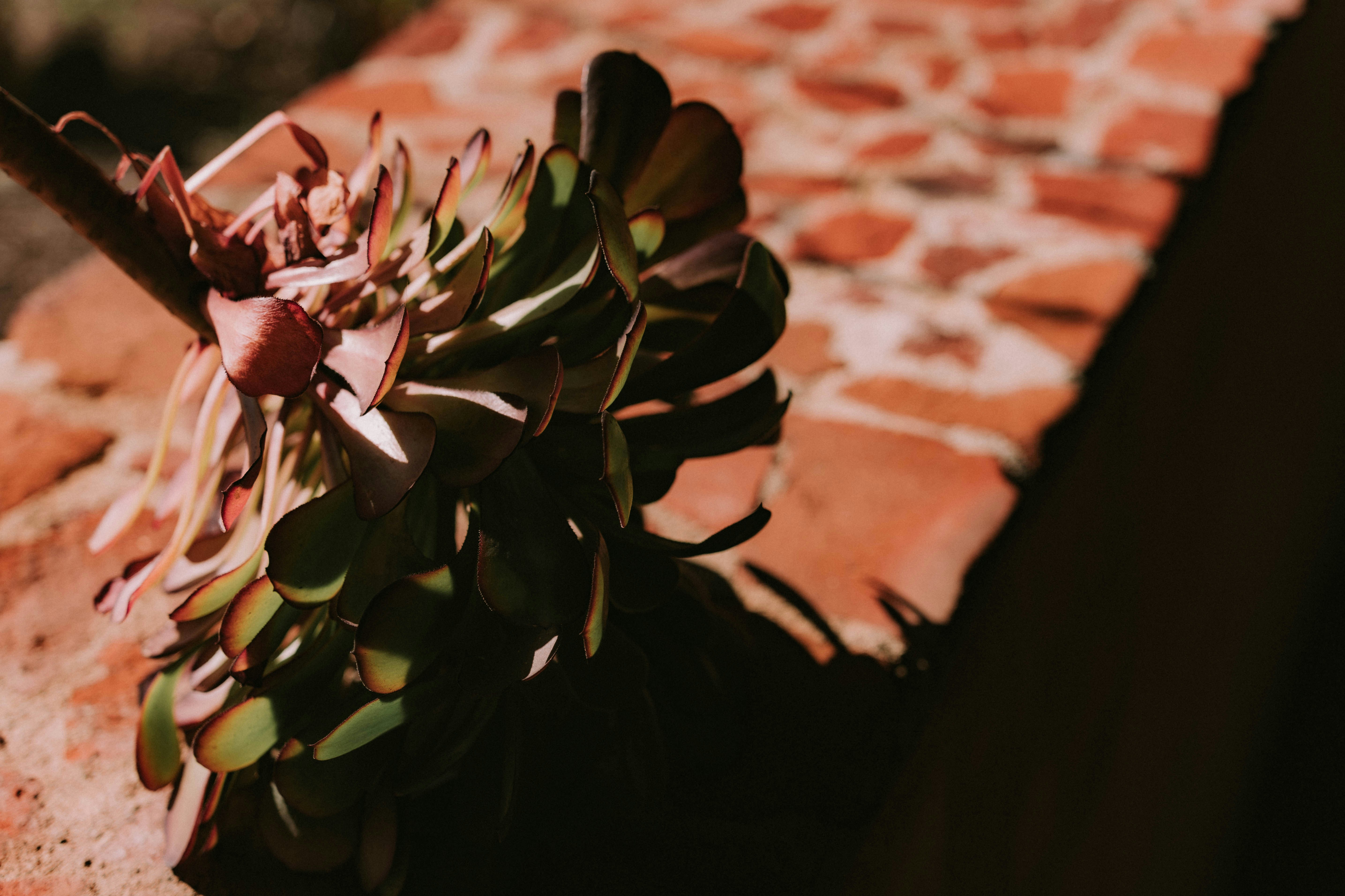 Photo by tarc_maylor