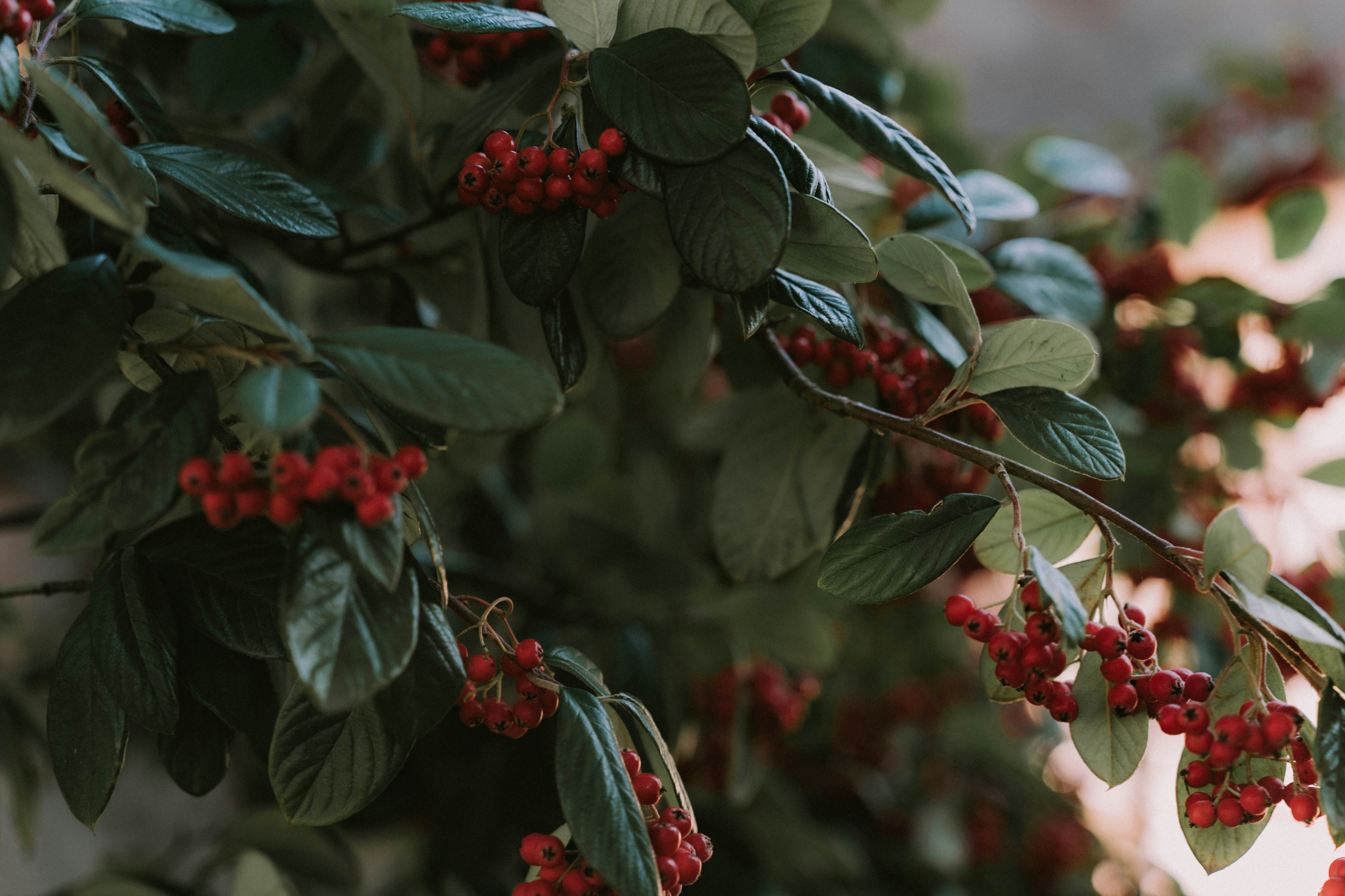 Photo by tarc_maylor