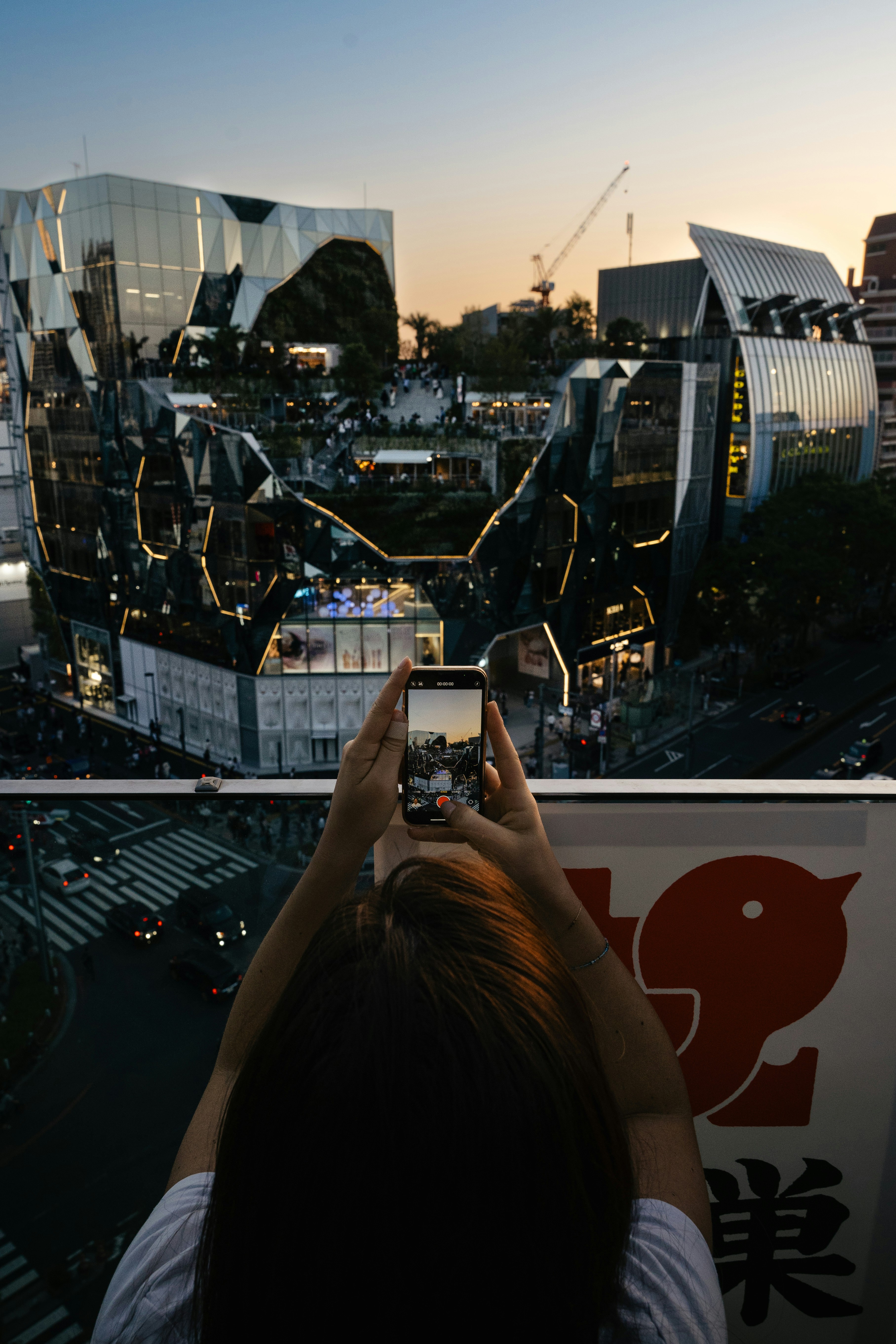 A person taking a picture of a city