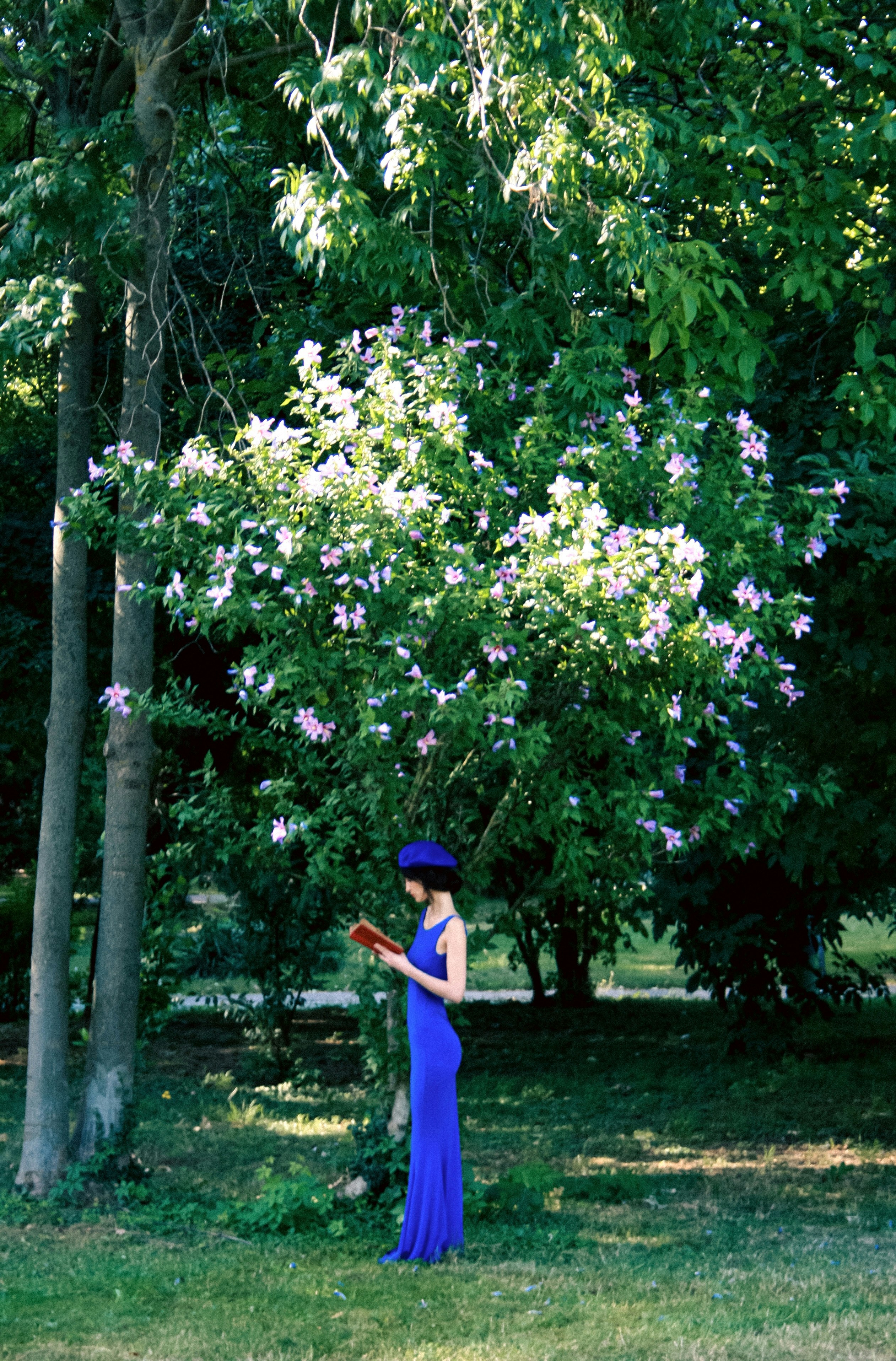 Photo by evamariabalan