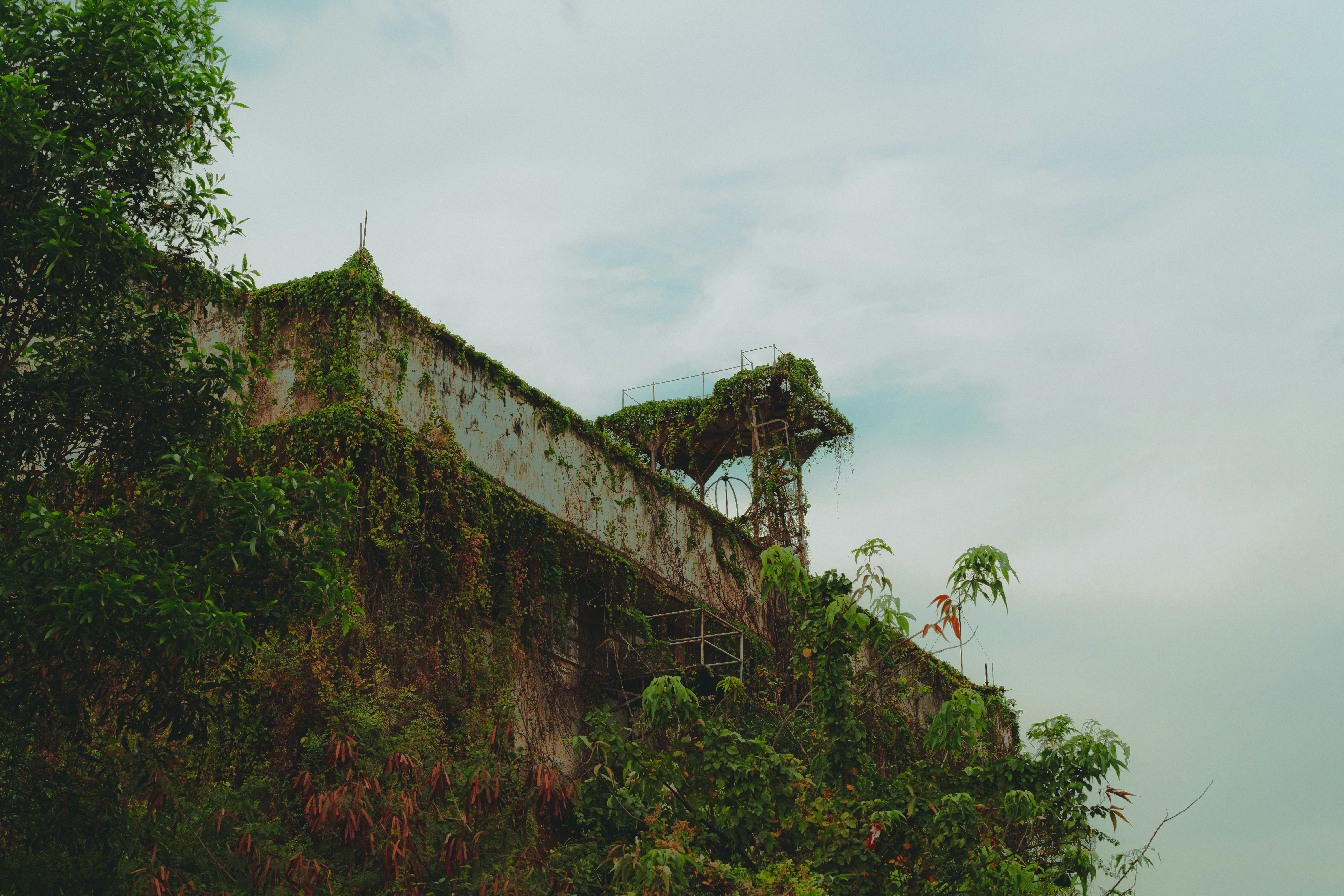 Photo by thejourneyofframes