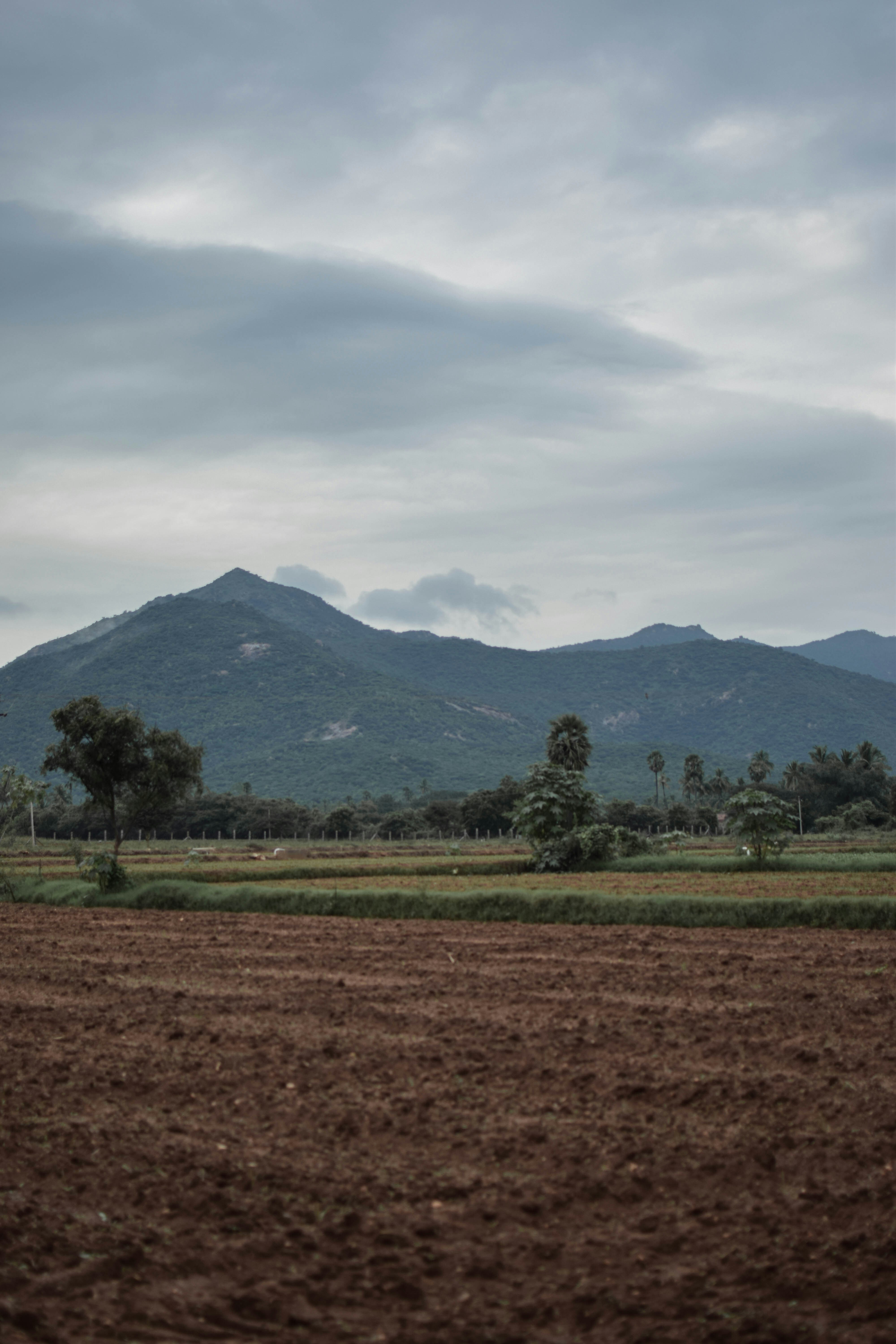 A plowed field with mountains in the background