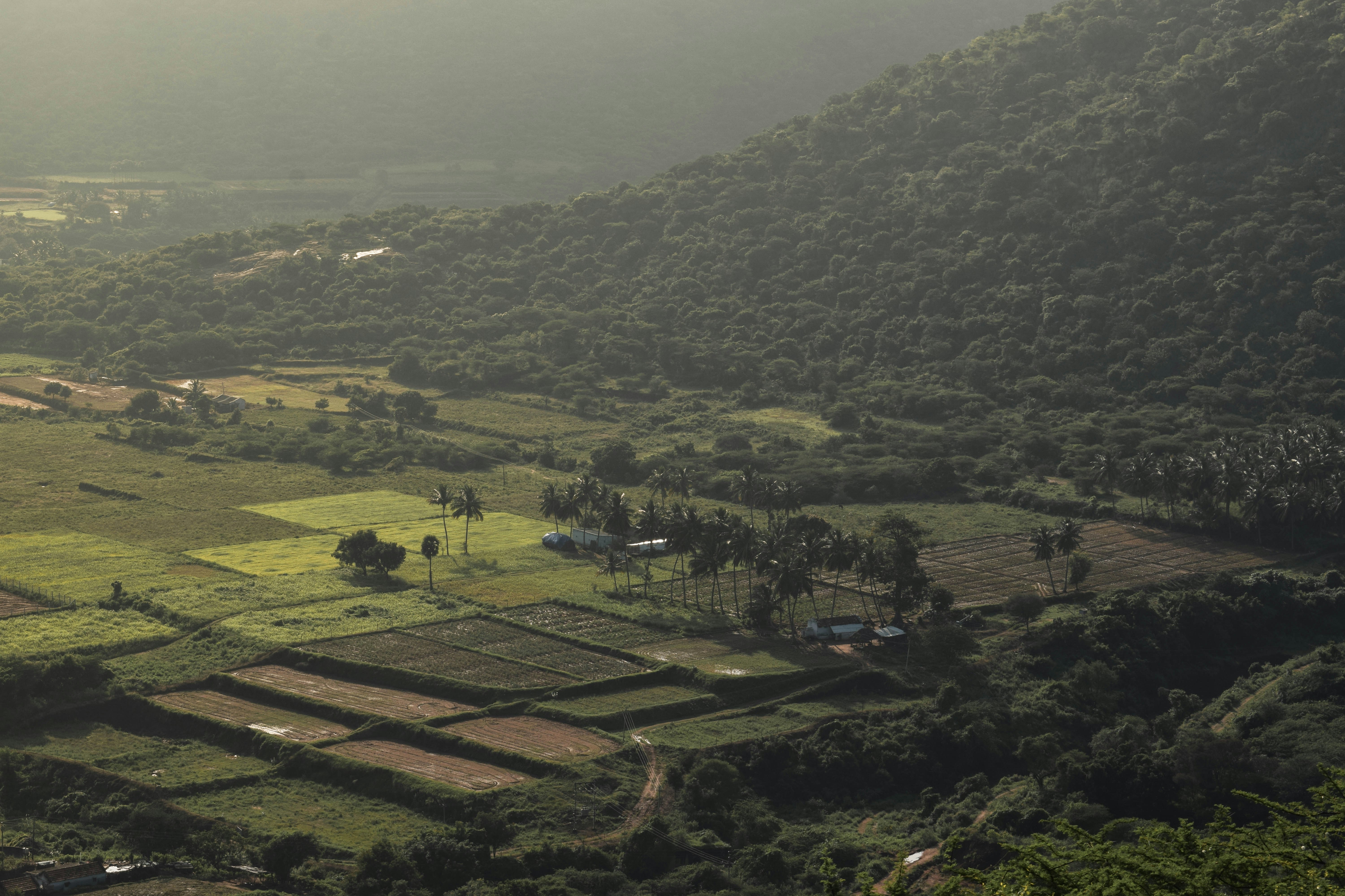 A view of a lush green valley with mountains in the background