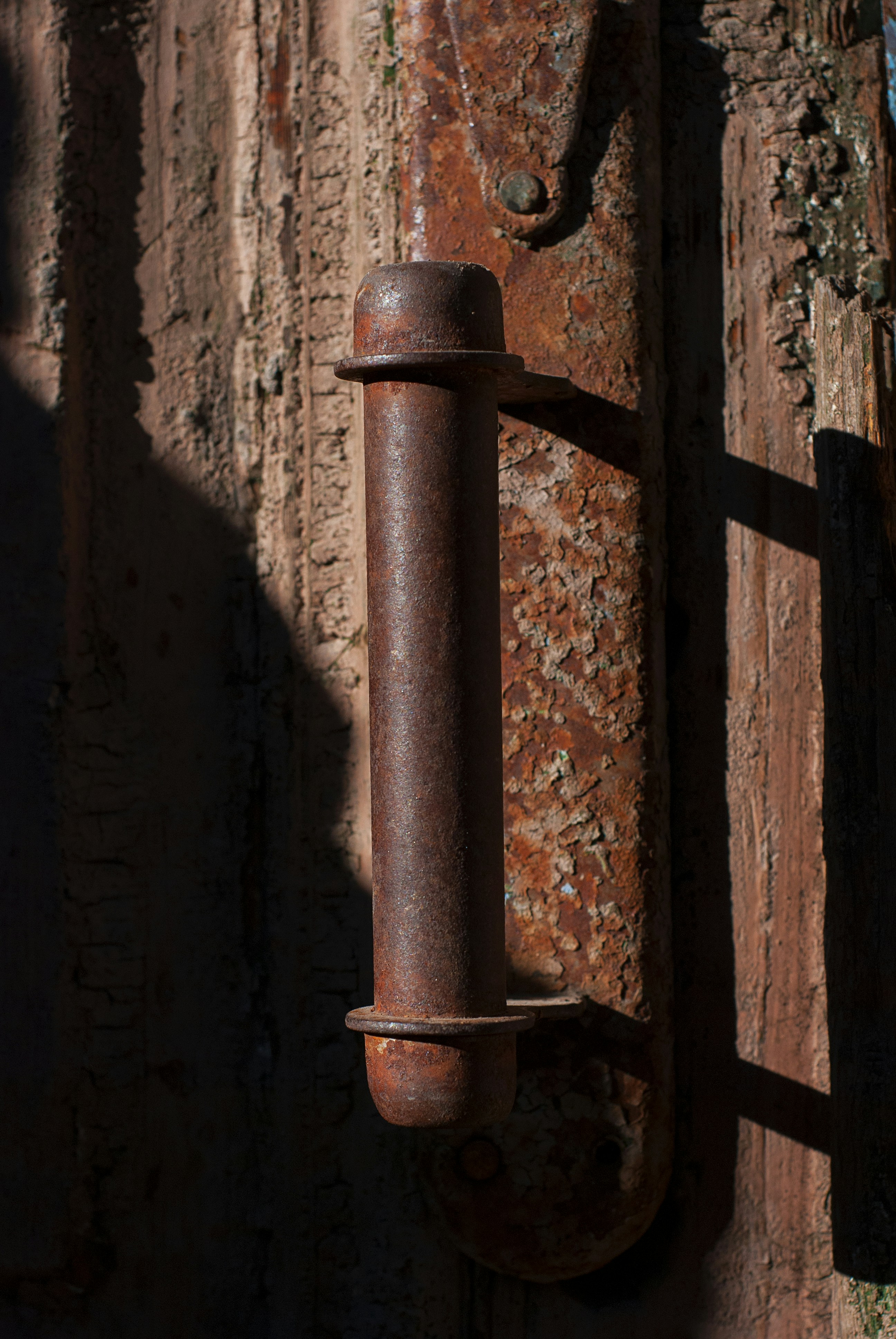 Photo by kovalskihelga