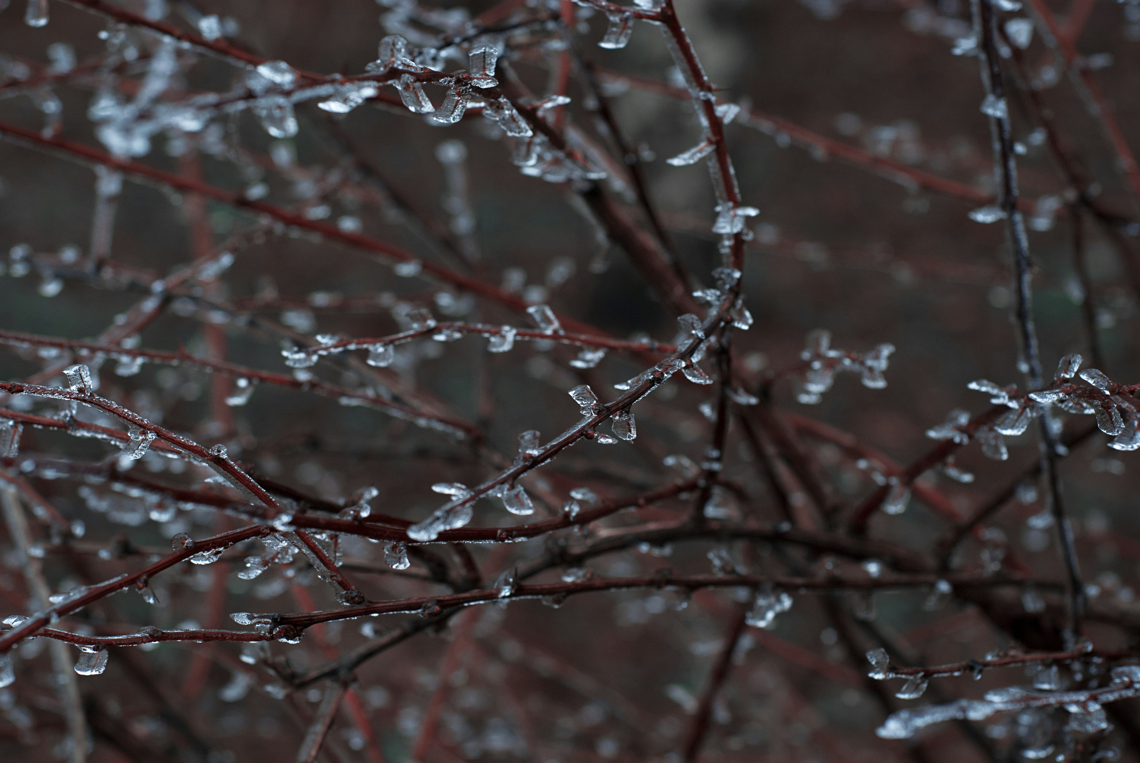 Photo by kovalskihelga