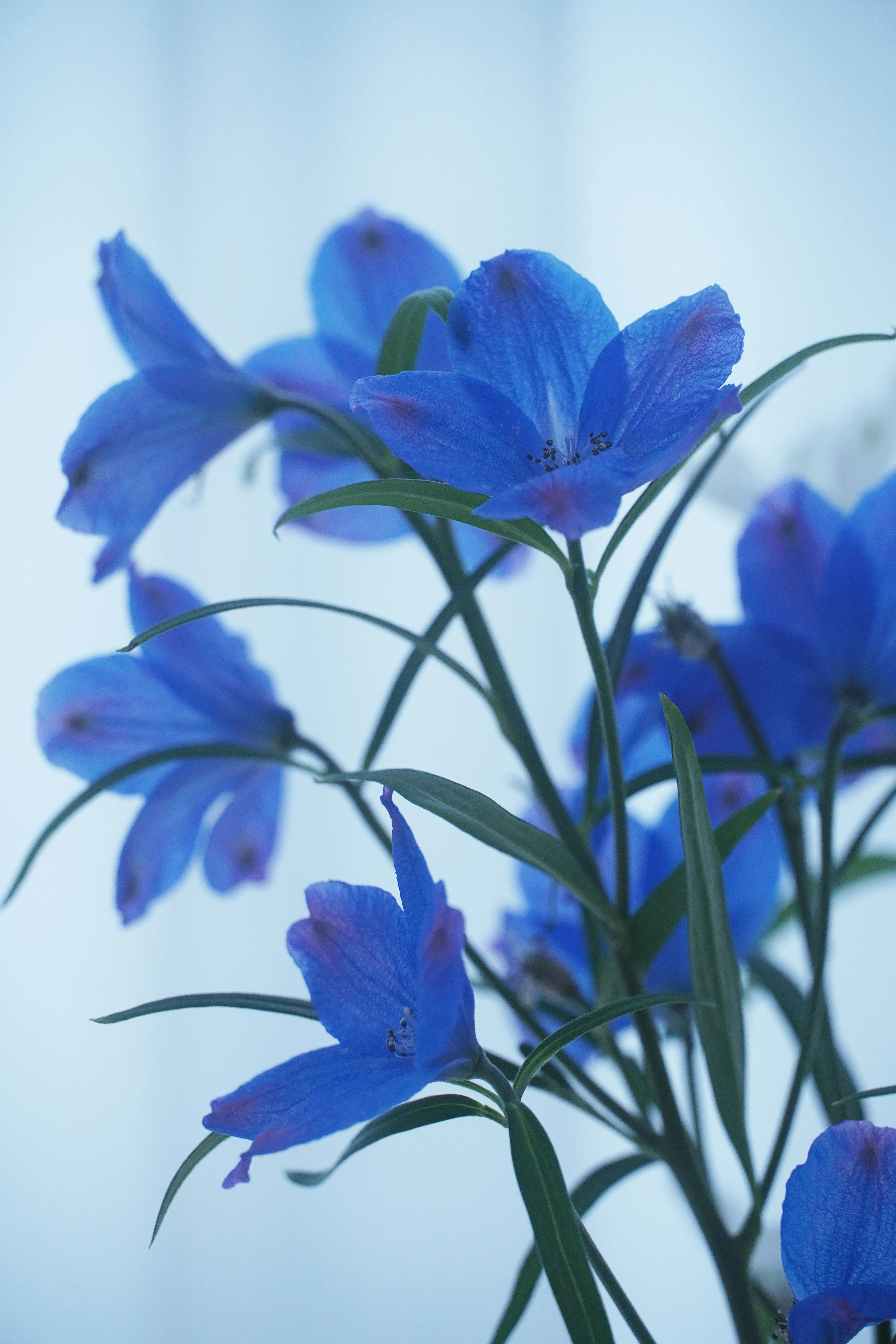 Photo by lifeinkorea