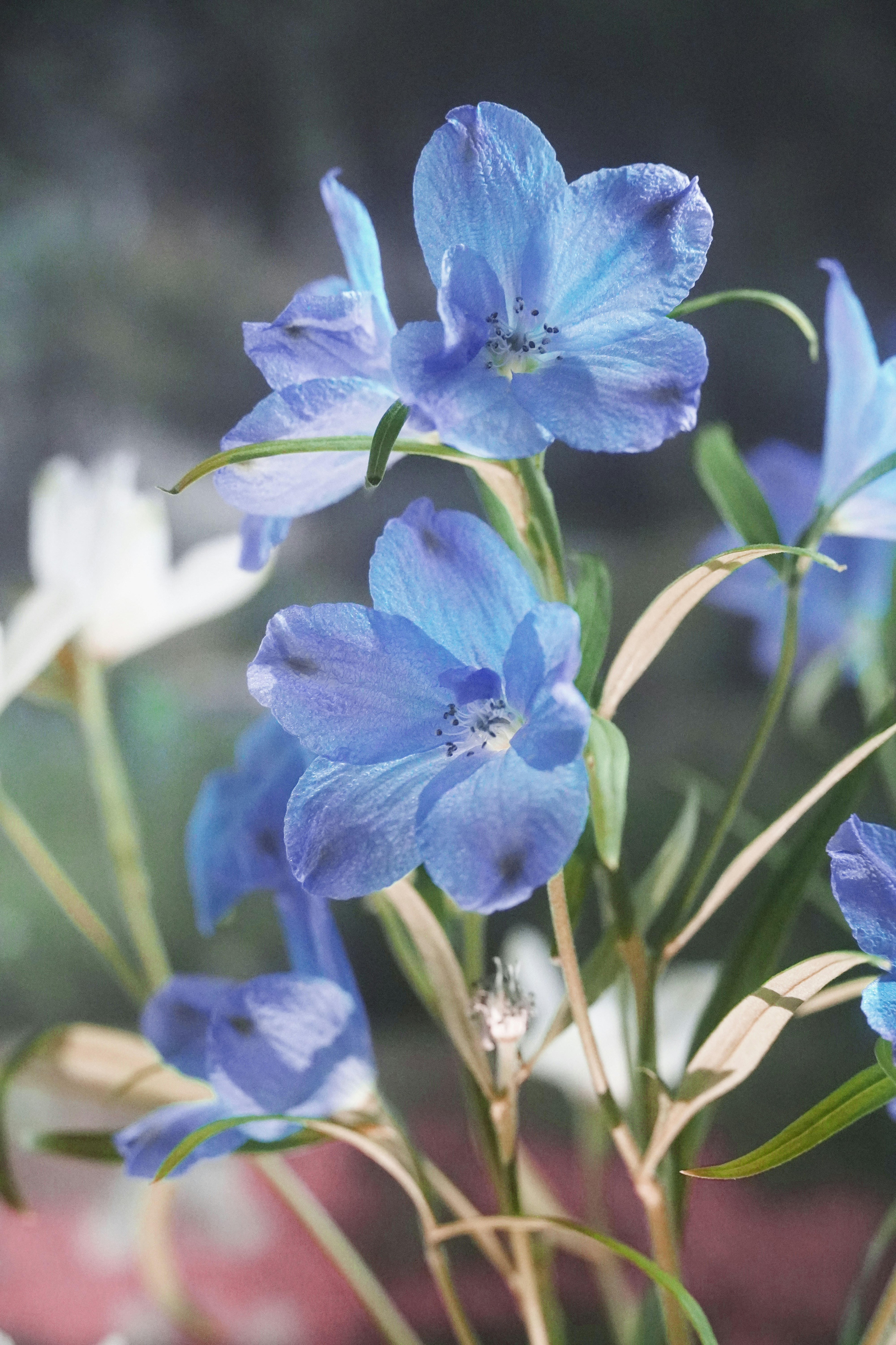 Photo by lifeinkorea